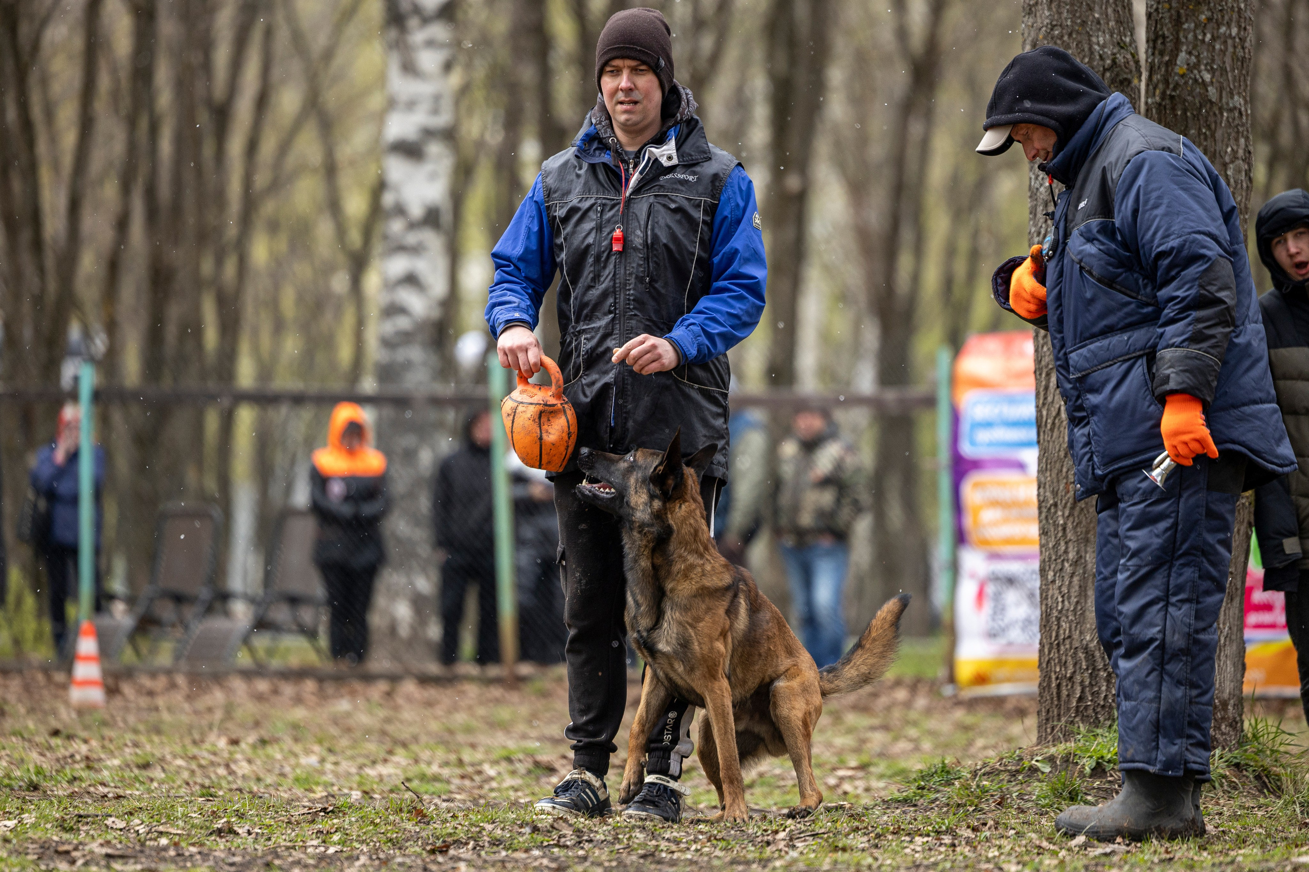 Квалификационные состязания по мондьорингу г. Вологда 11.05.24. Фотограф-анималист Анна Маринич