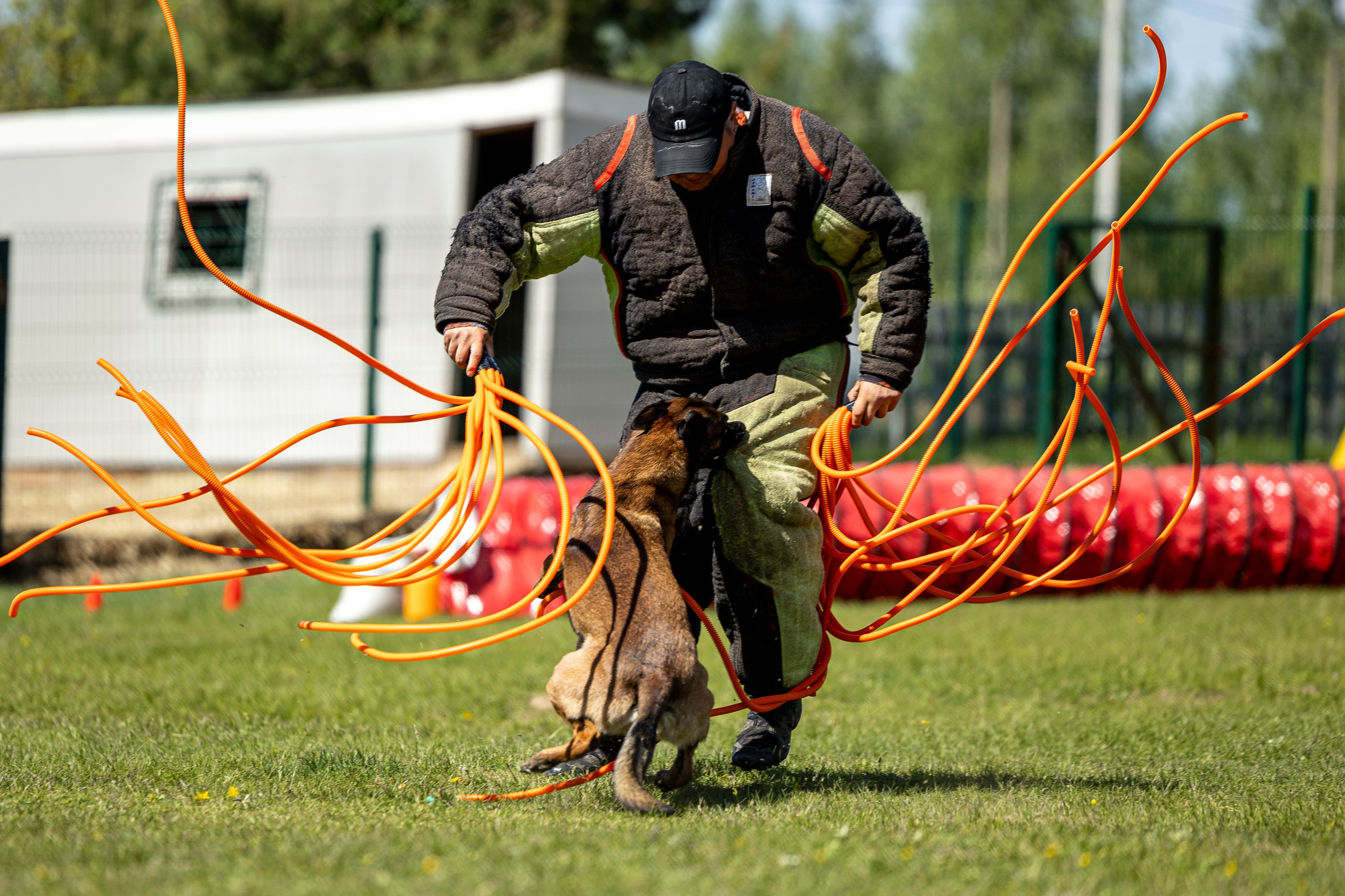 Испытания по мондьорингу в Нижнем Новгороде. Фотограф-анималист Анна Маринич