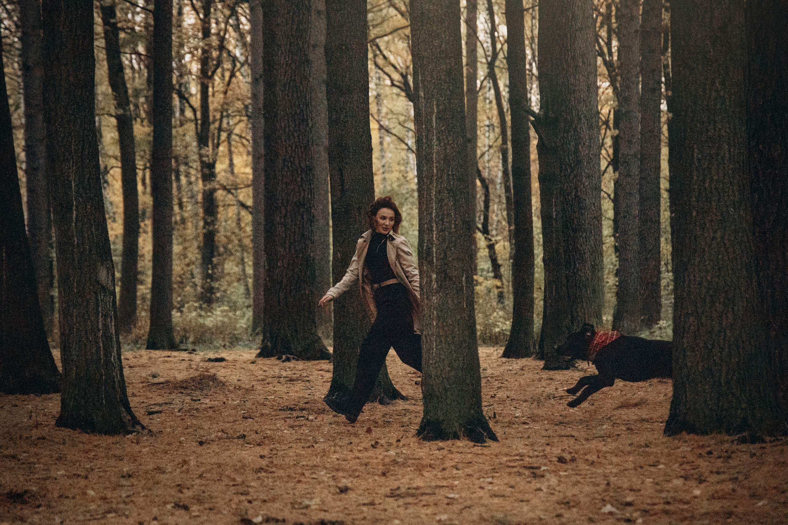 Арина и Сэмми. Фотограф — Анималист | Санкт-Петербург