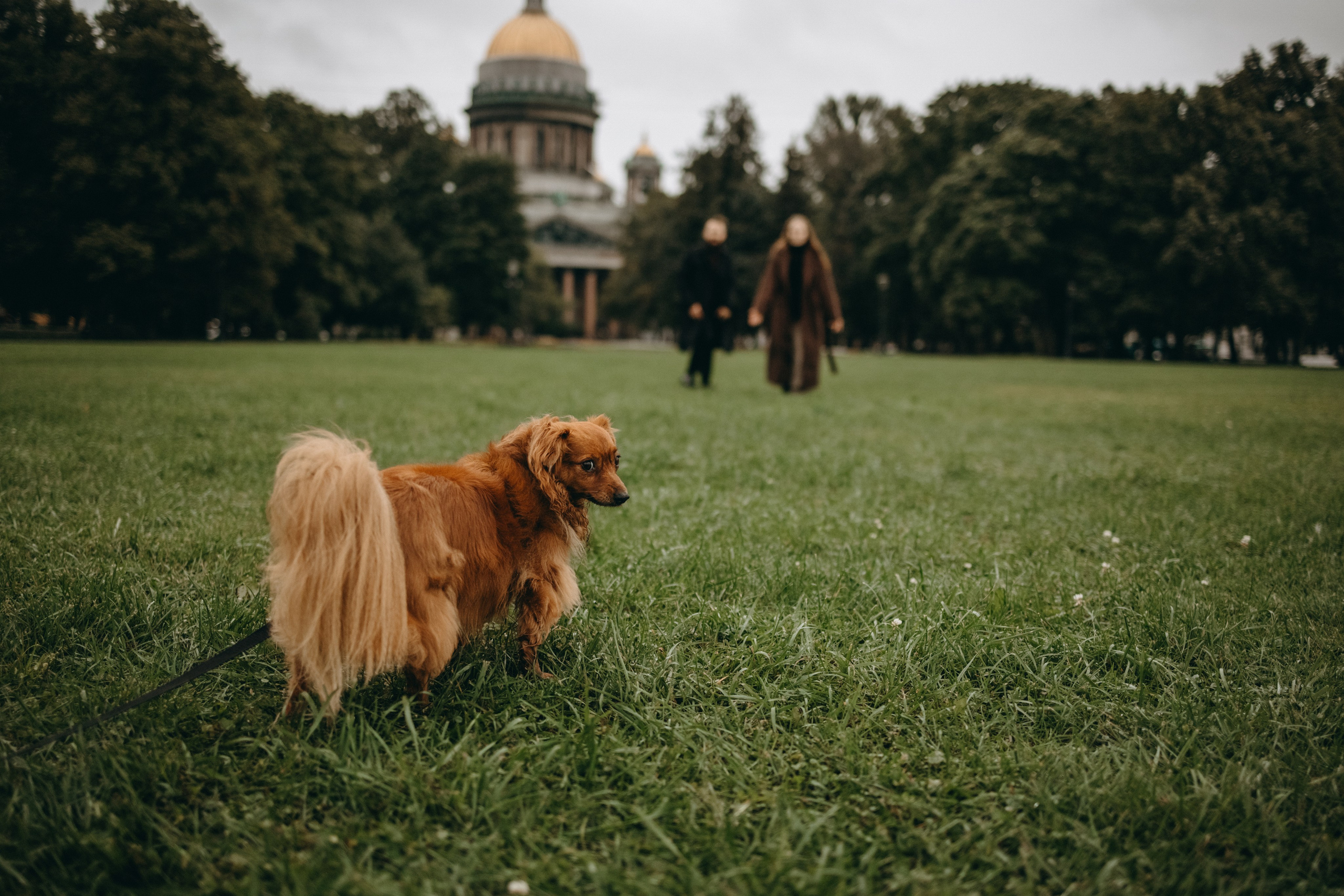 Жу и ее семья. Фотограф — Анималист | Санкт-Петербург