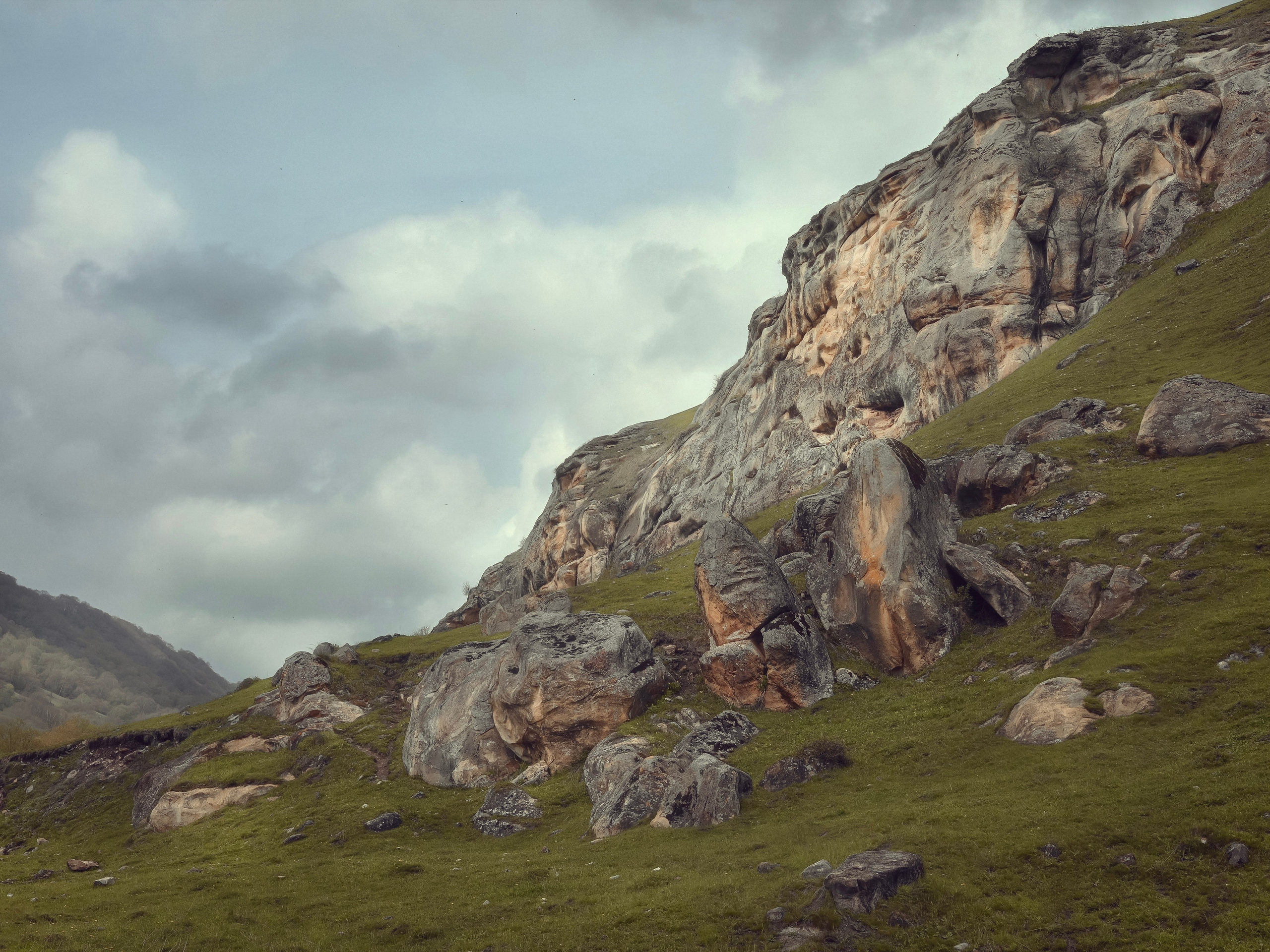 Пастырь добрый. Фотограф Ямбикова Ксения в Москве