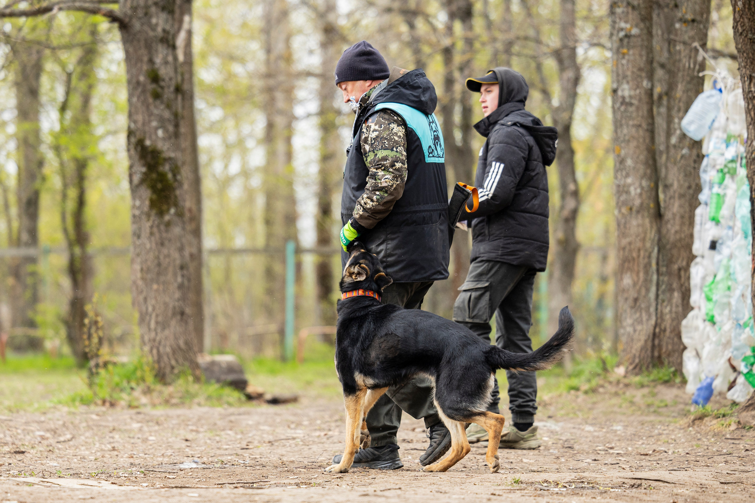 Квалификационные состязания по мондьорингу г. Вологда 11.05.24. Фотограф-анималист Анна Маринич