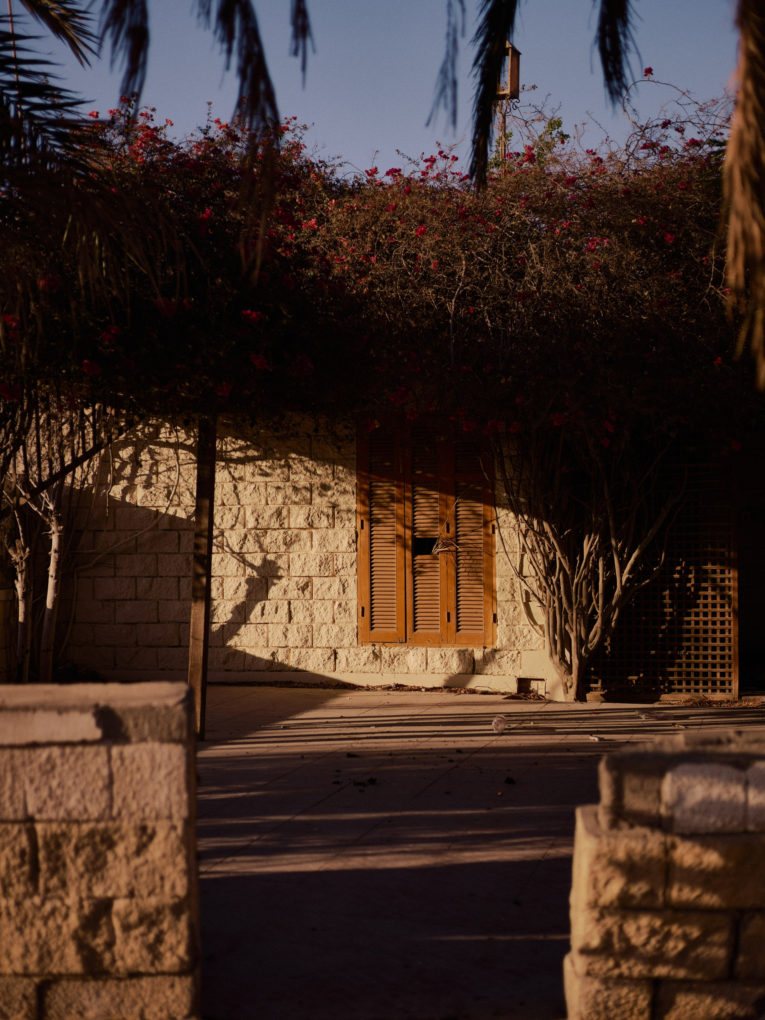 Другое 3. Jorgis Talè — photographer, kind person, teacher of arts and other mag