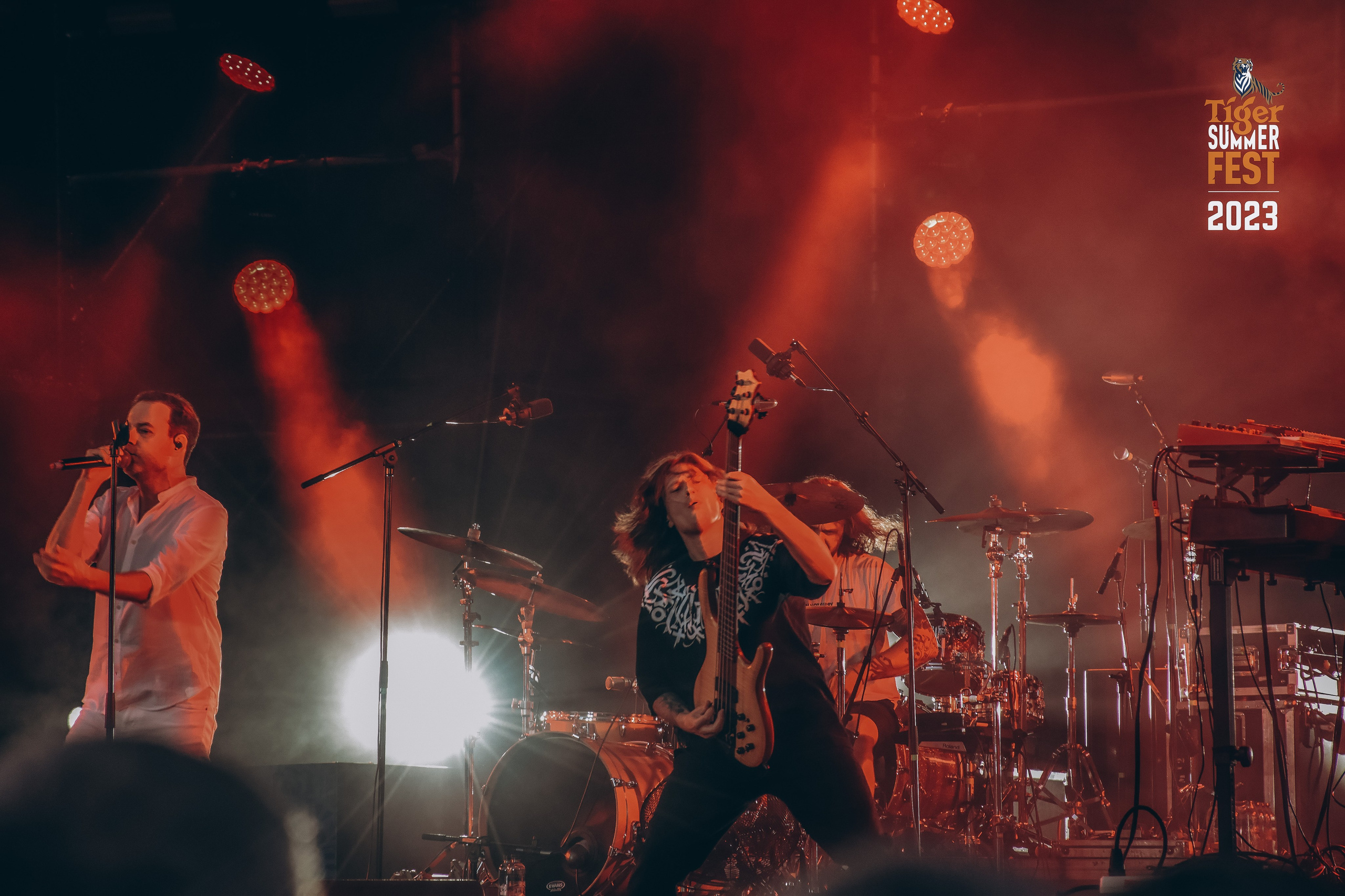 Tiger Fest. Фотограф в Алматы