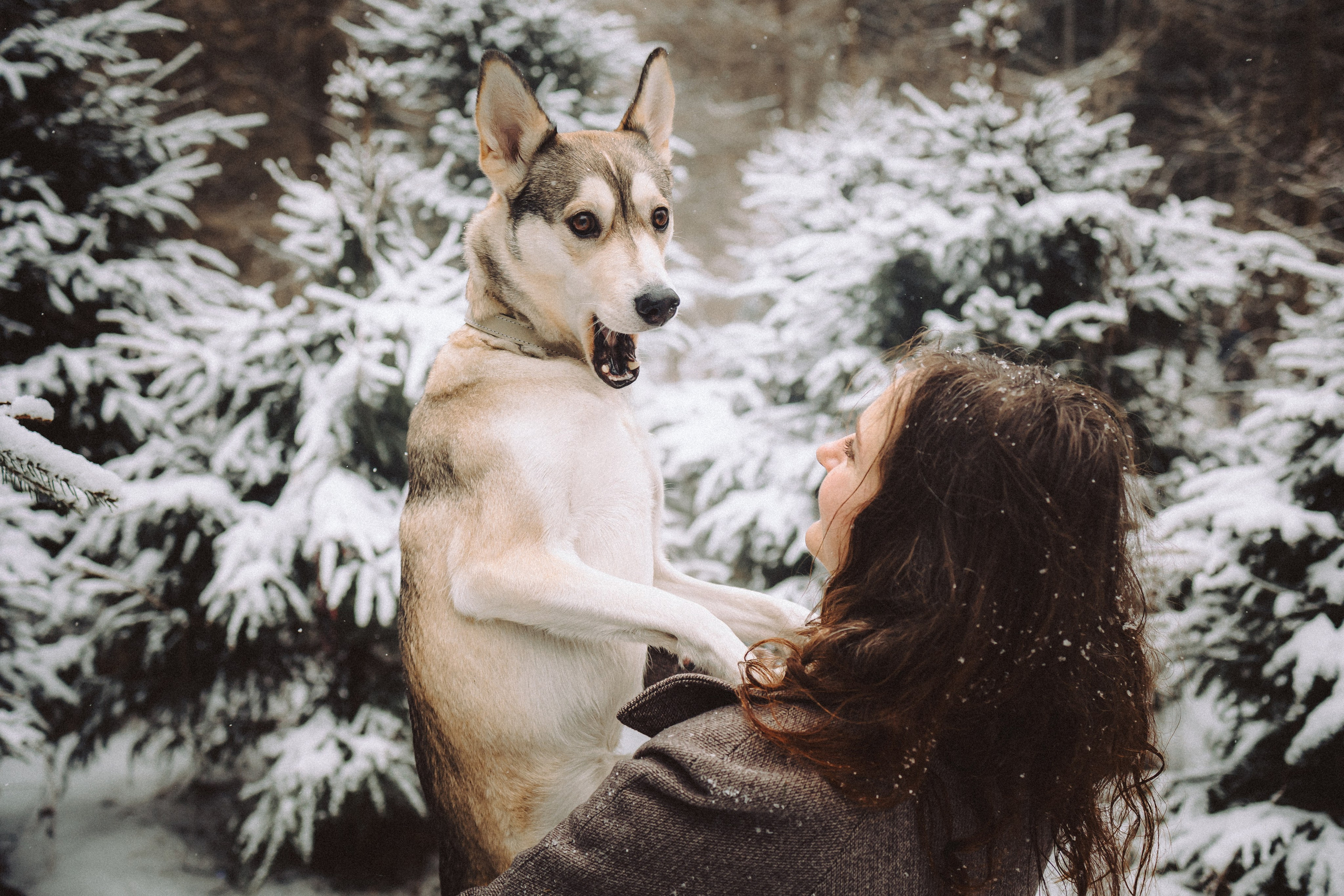 Аня и Рокси