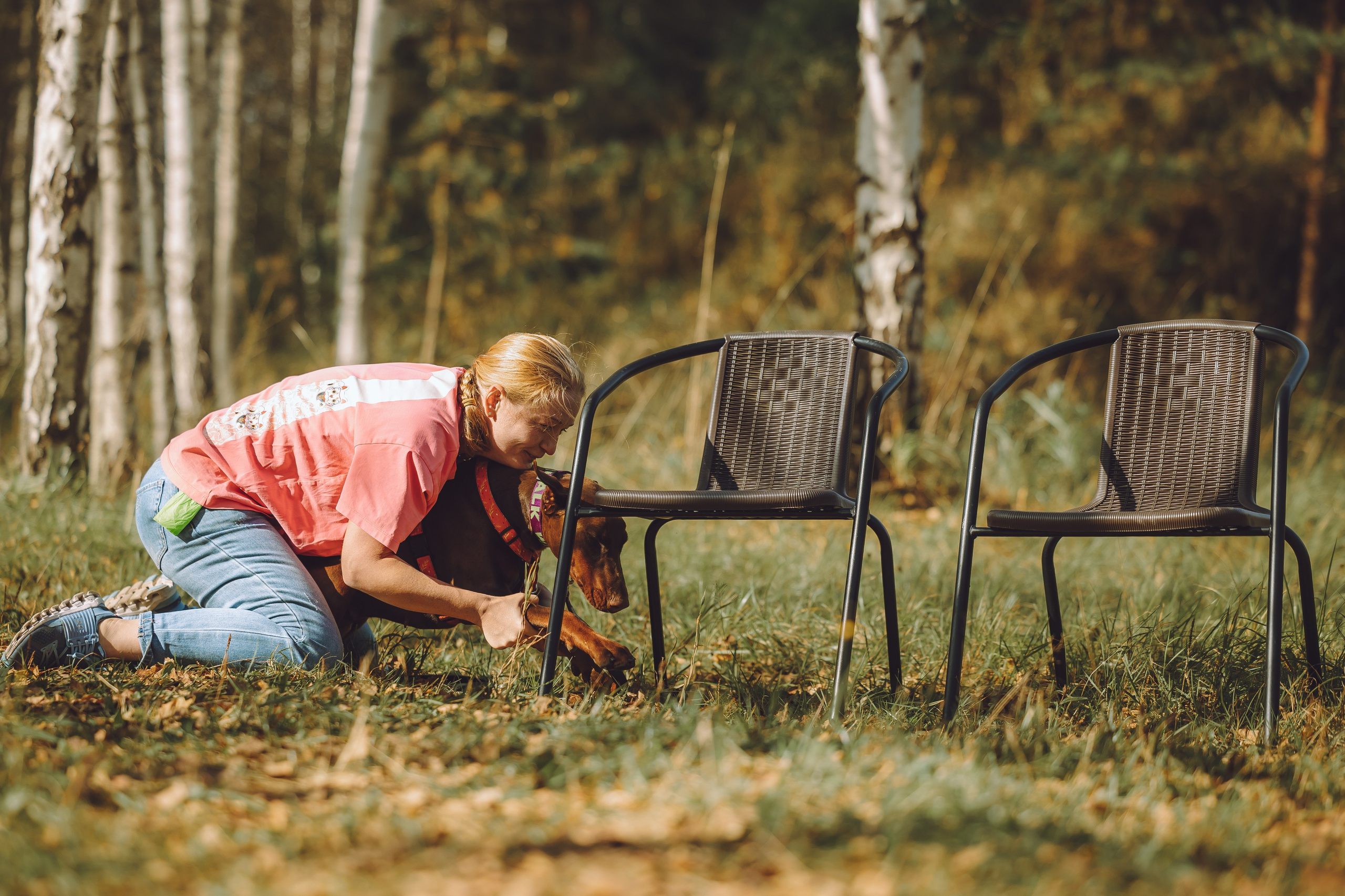 Выездной дог-тренинг от школы «Шерсть имею», Тованово