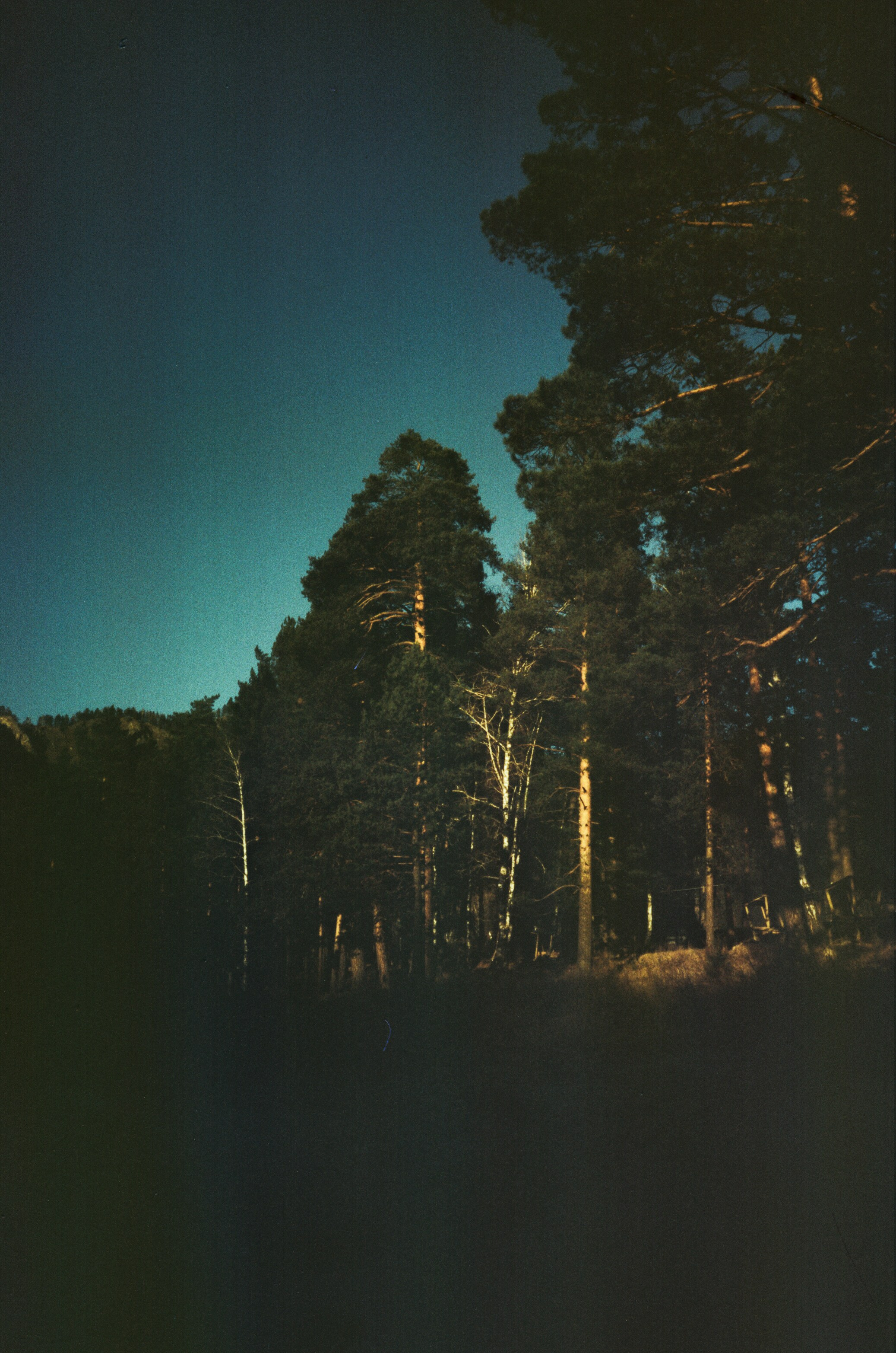 Дорога в верхах Алтая и Семинский перевал. Фотограф-документалист Мария Осокина