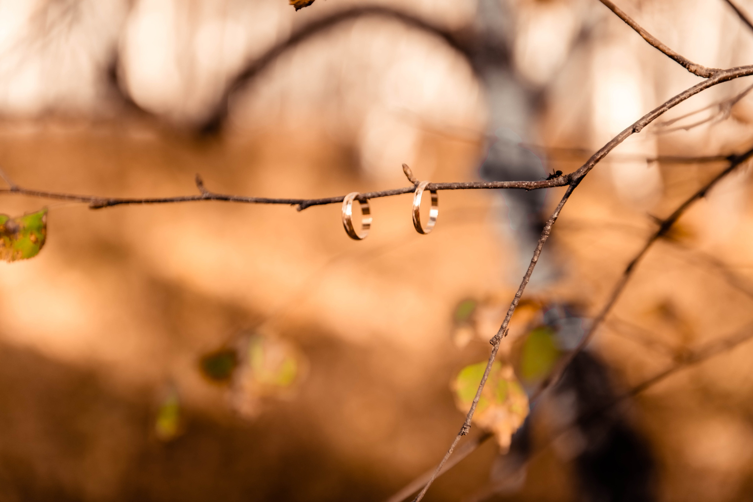 Валерий и Полина. Семейный и детский фотограф Татьяна Перевалова