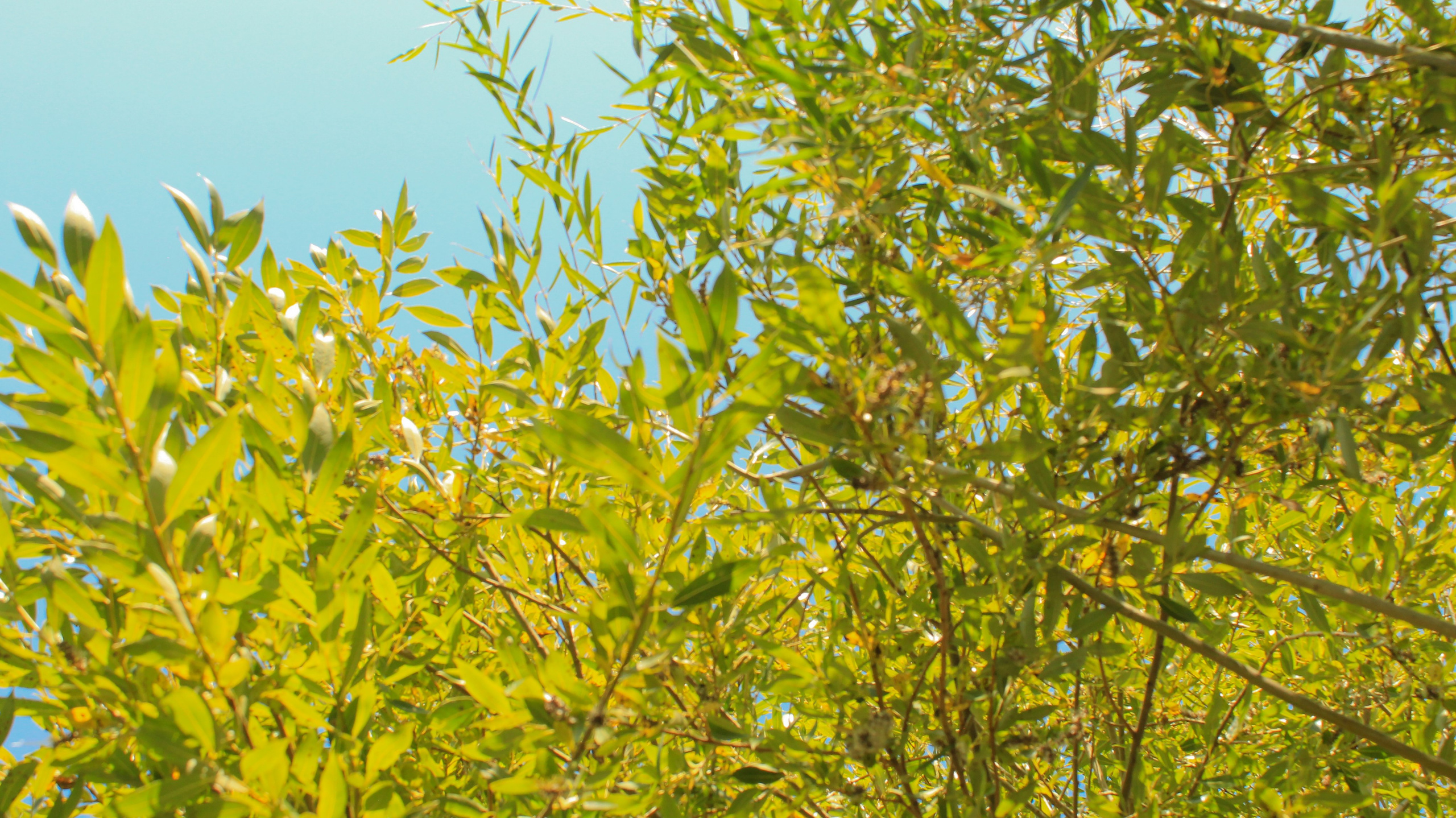 TMN ivapark '24. Фотограф/дизайнер в Екатеринбурге Хитрый Дмитрий