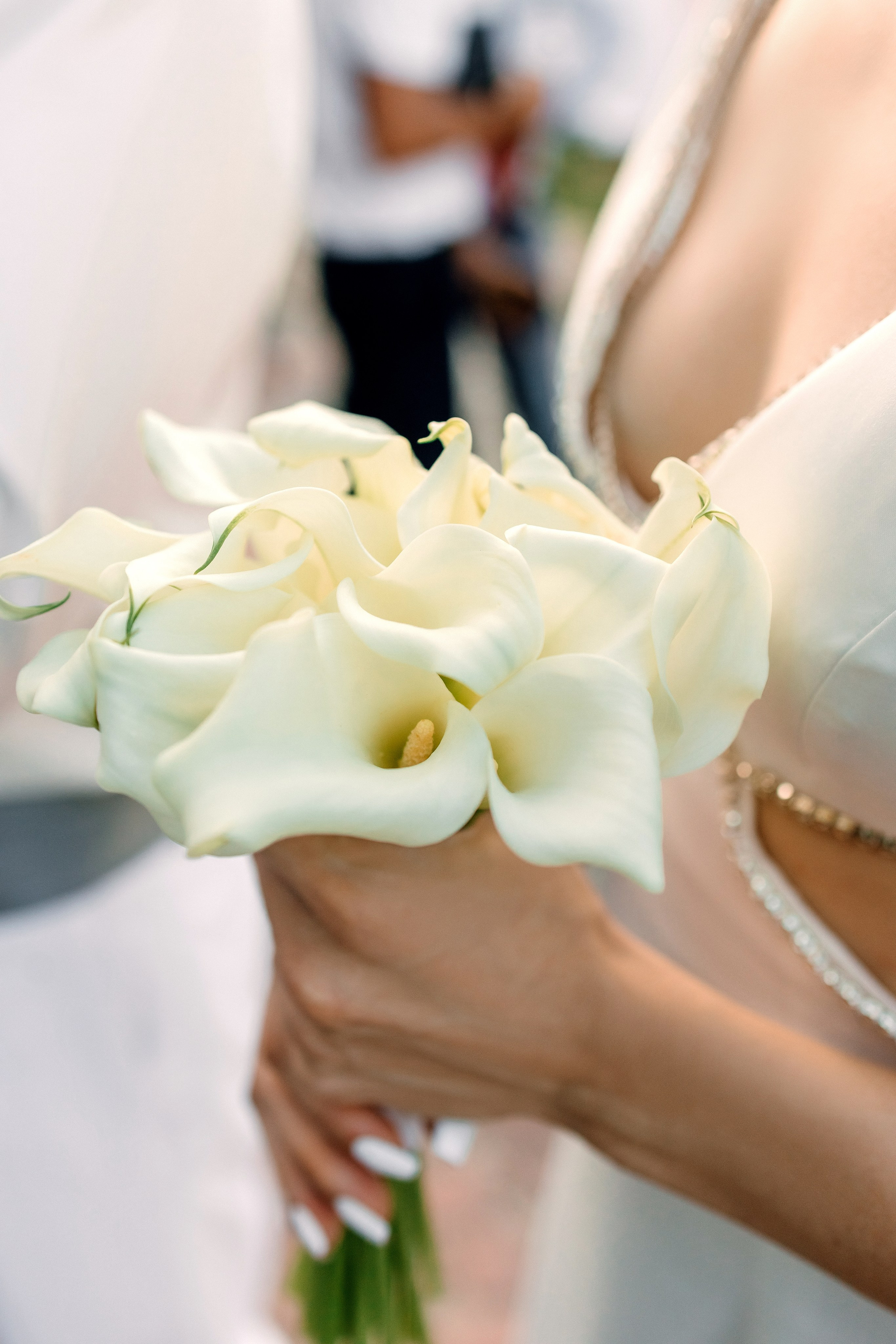 Роман и Лилия. Диана Тимиряева | Фотограф в Воронеже