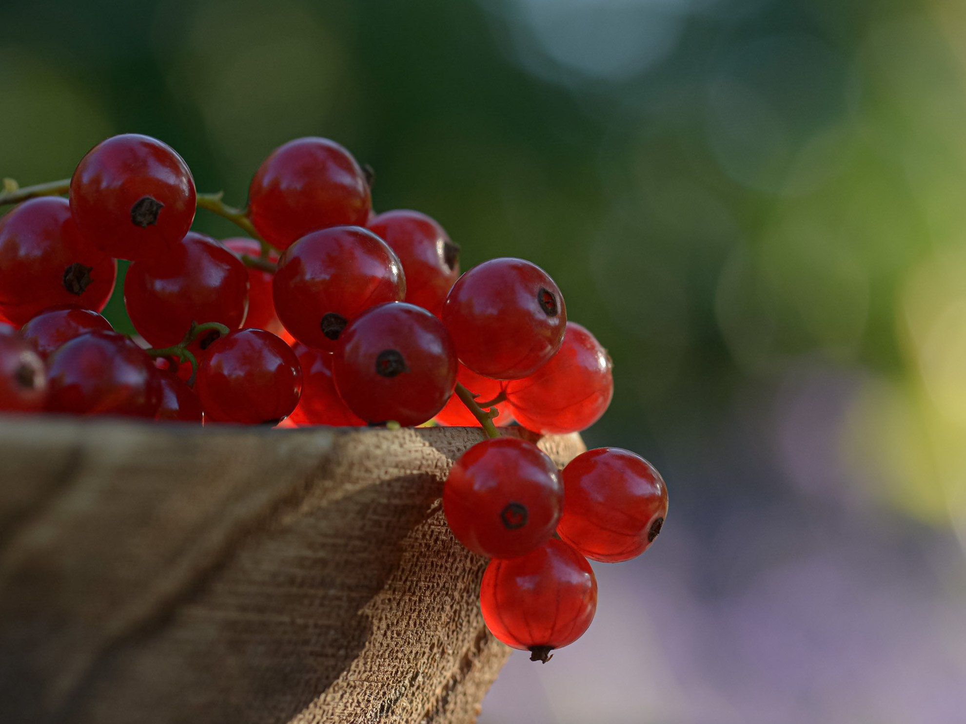 Еда. ПРУДМЕТНАЯ И ФУД СЪЕМКА