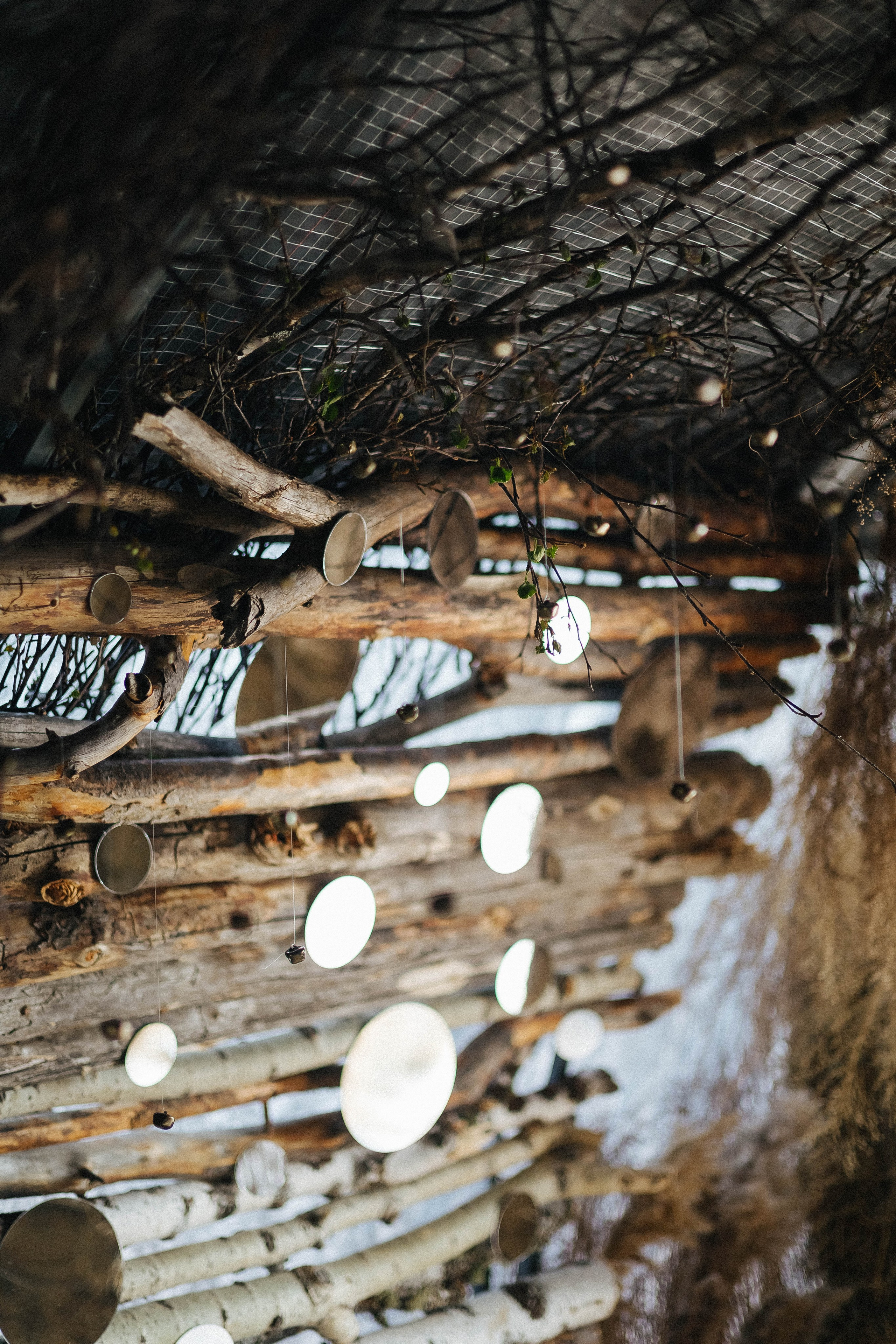 Дикий ужин. Фотограф в Красноярске Надежда Воскресенская