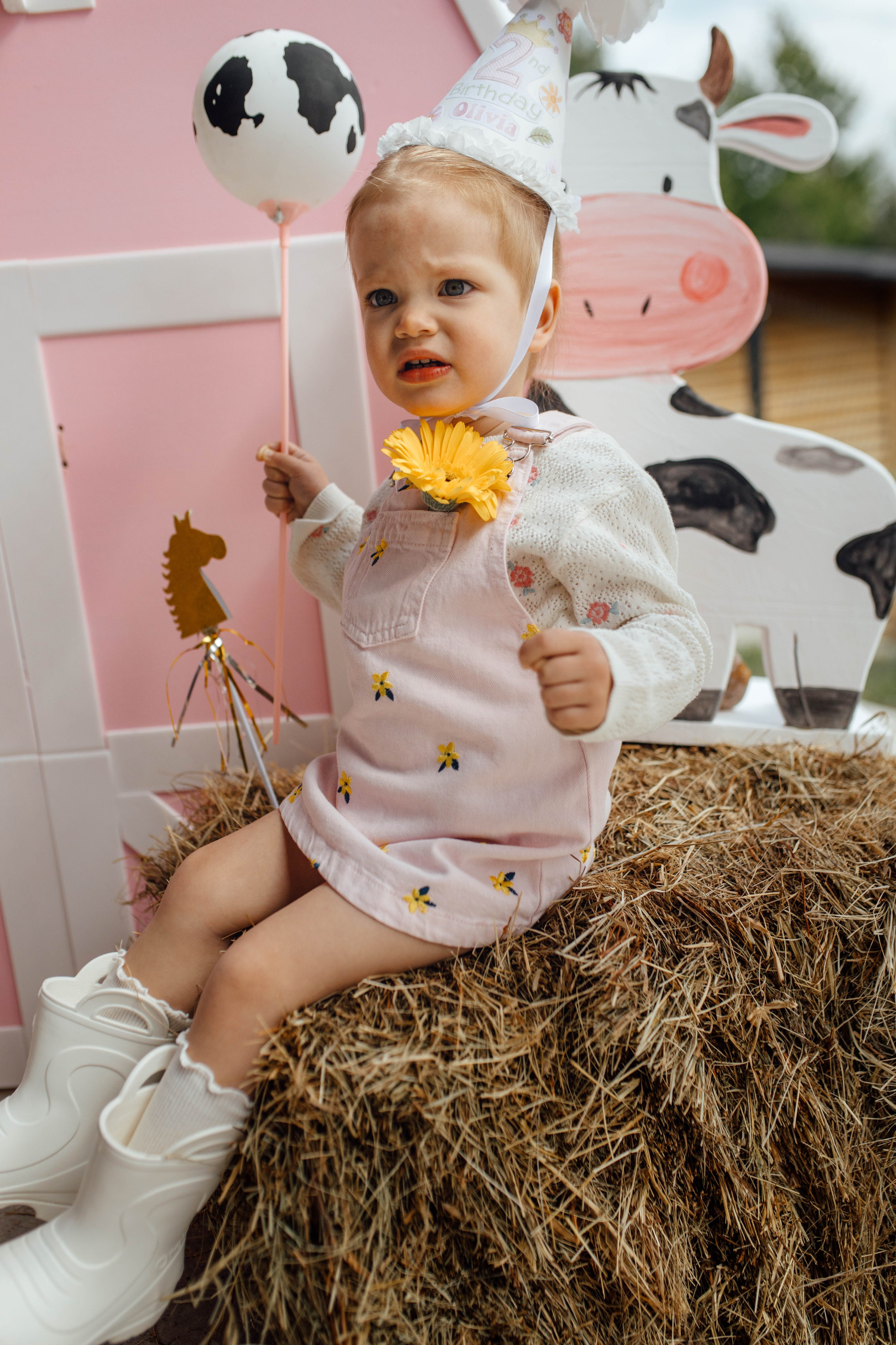 Репортаж дома, др