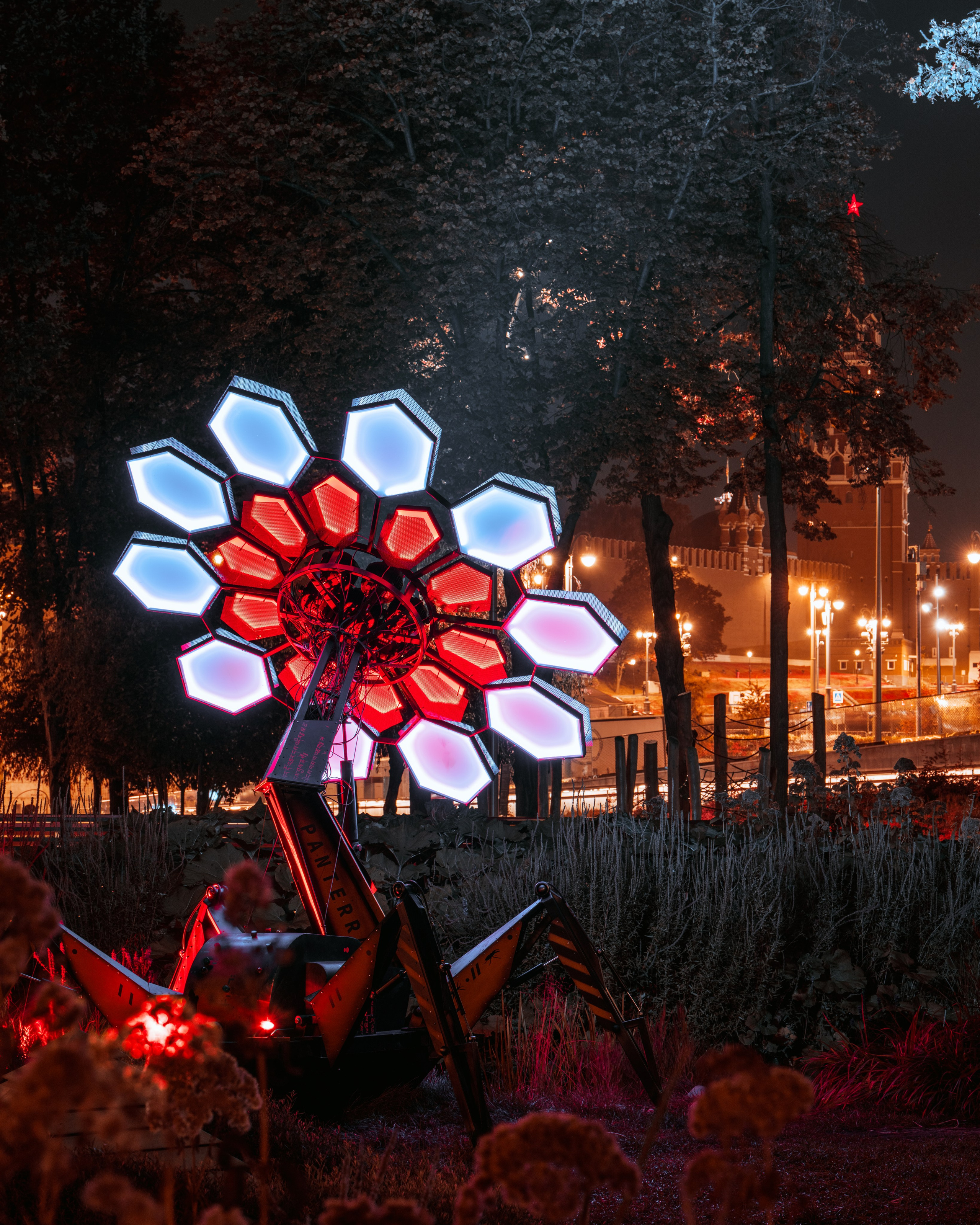 PANTERRA, Cyber Flower. @tomrus: Рустам Шагиморданов — фотограф