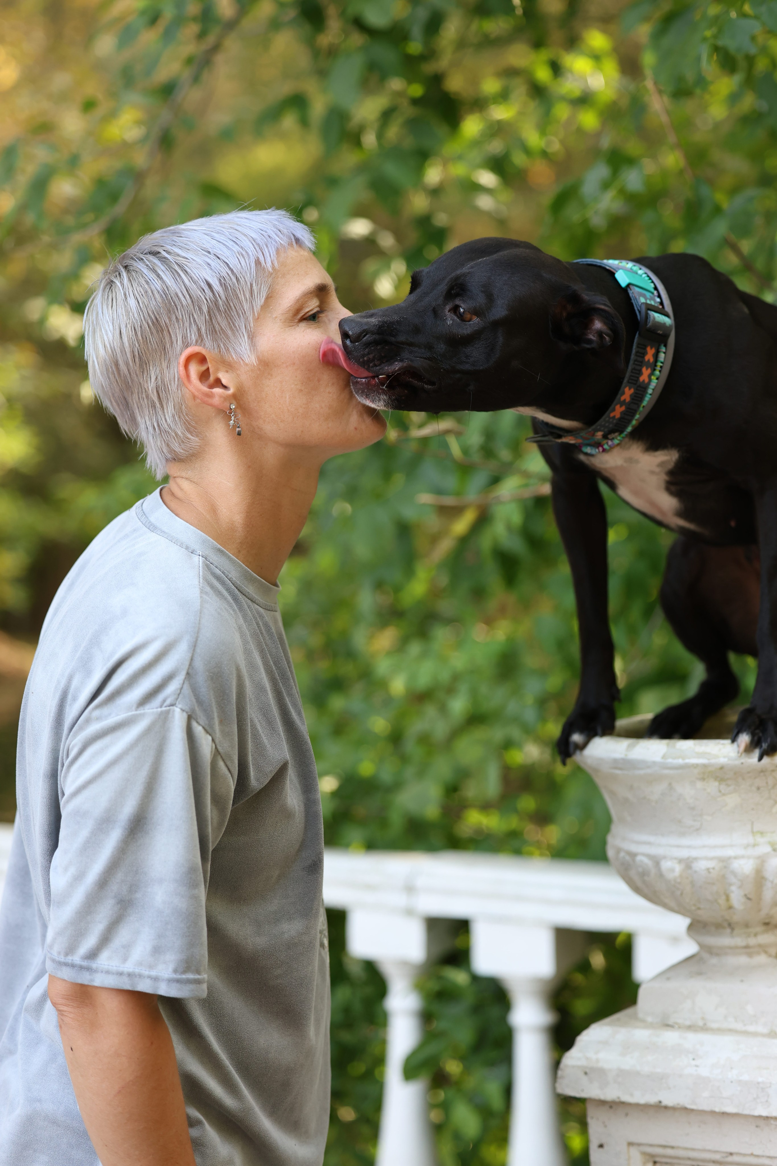 Алена и Бора. Виктория Михайловская. Фотограф-анималист. Москва