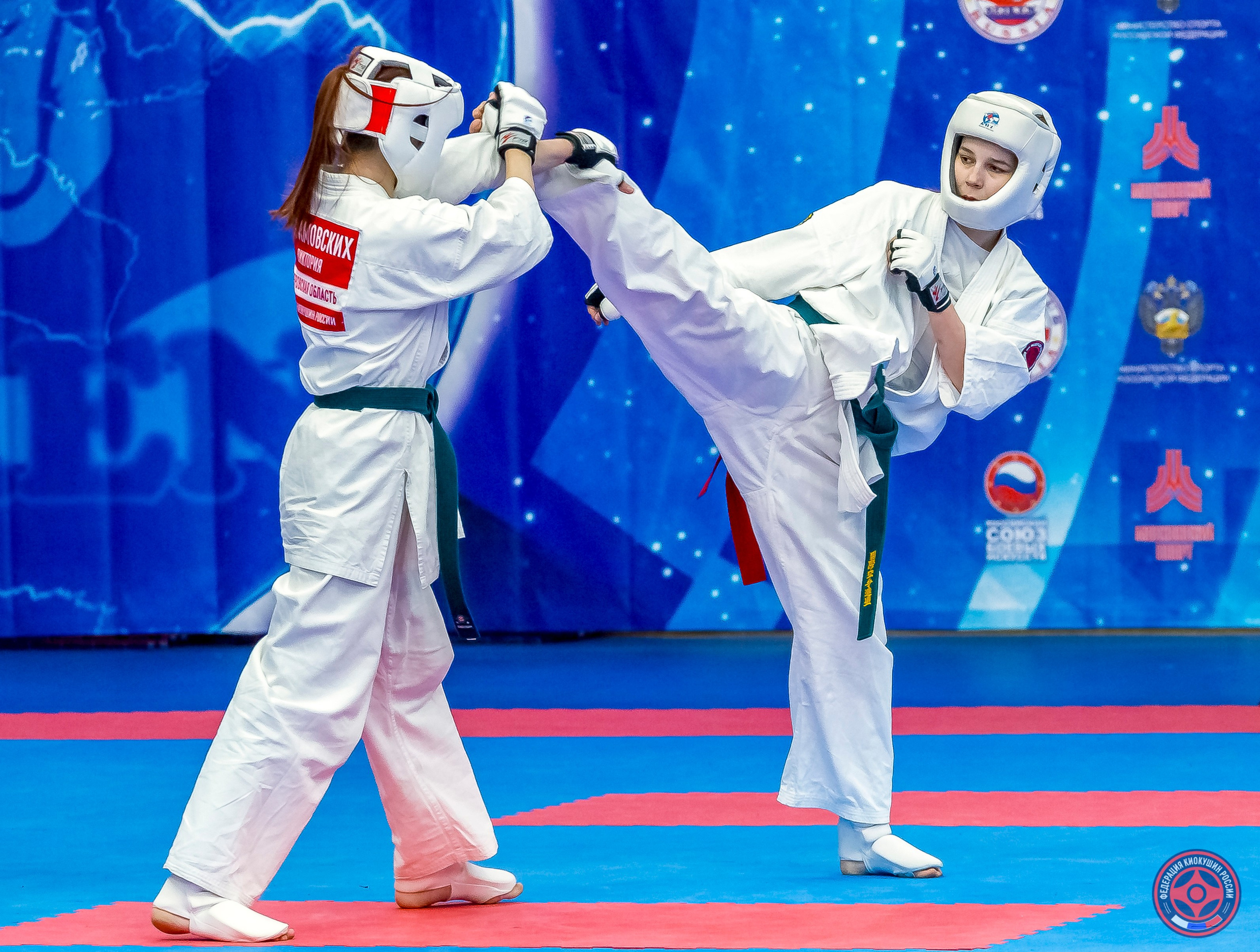 Международный турнир по киокушин «Открытый кубок Seiken». Репортажная съемка в Москве и области. Анималистика