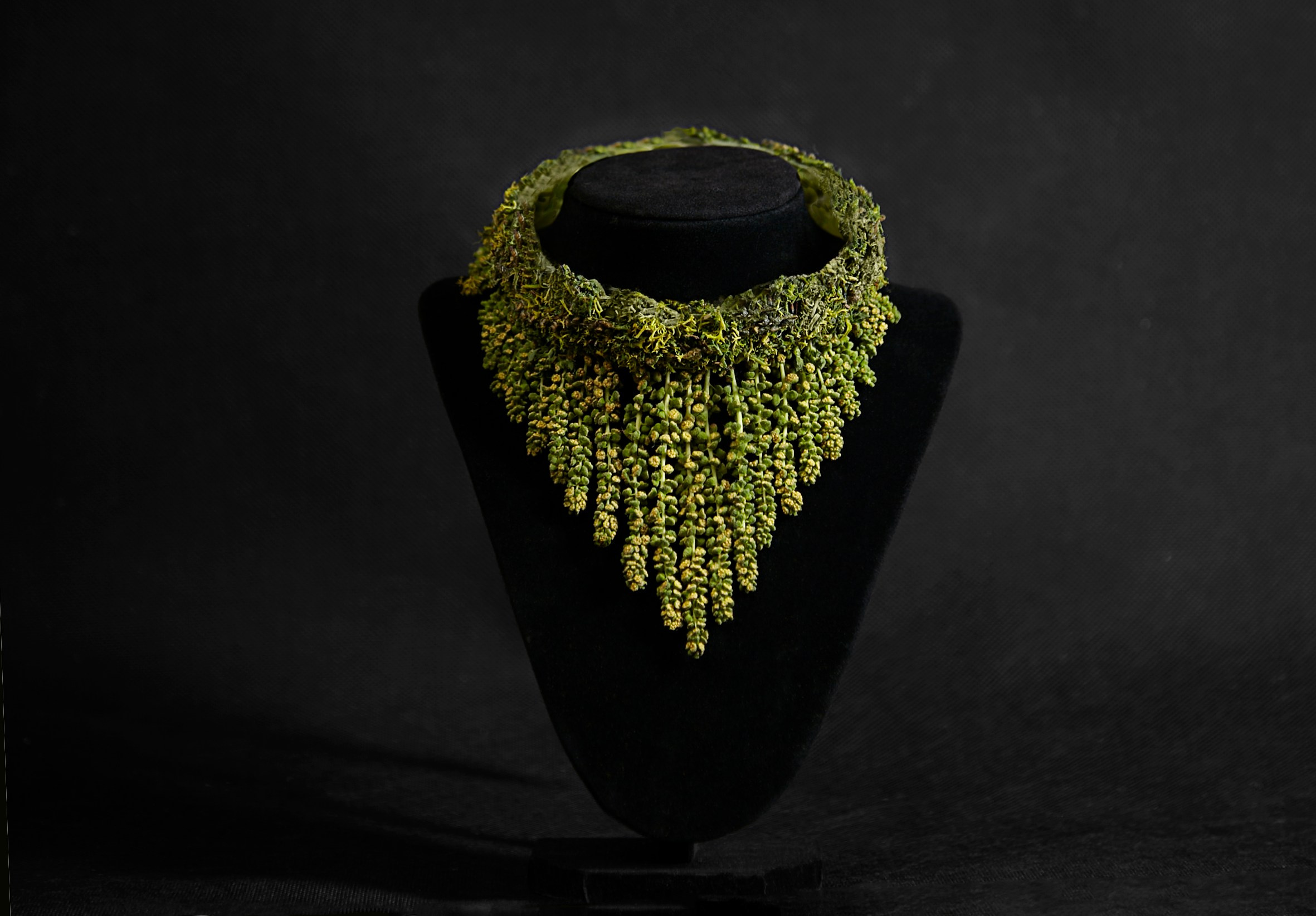 Frolar jewelery. Maria Poleshchuk, commercial photographer in Sydney