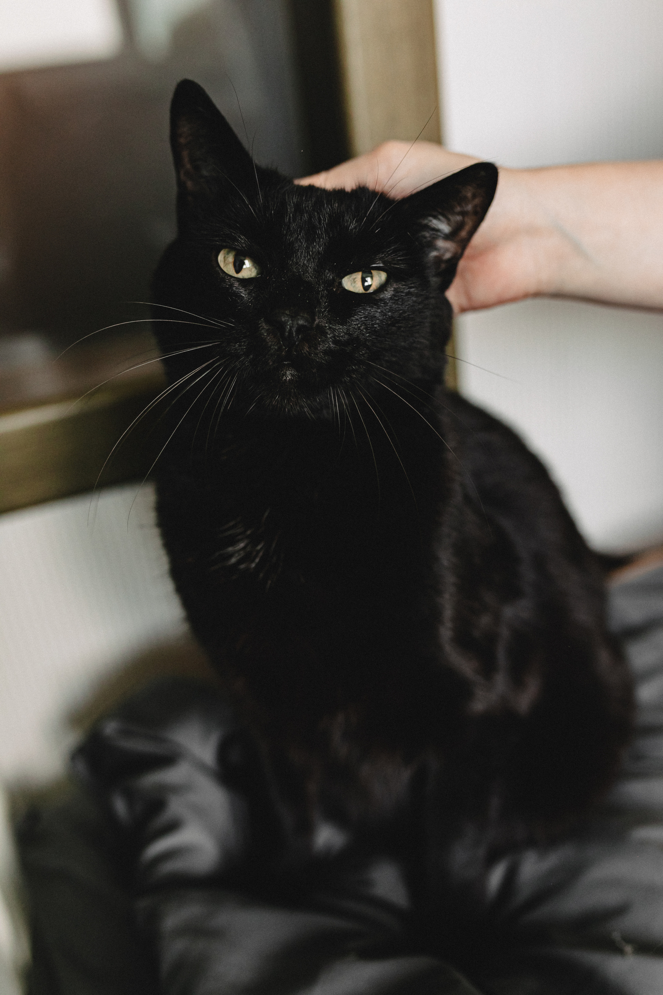 Свадьба Жени и Паши. С родными. Свадебный и семейный фотограф Женя Добрянская в Нижнем Новгороде