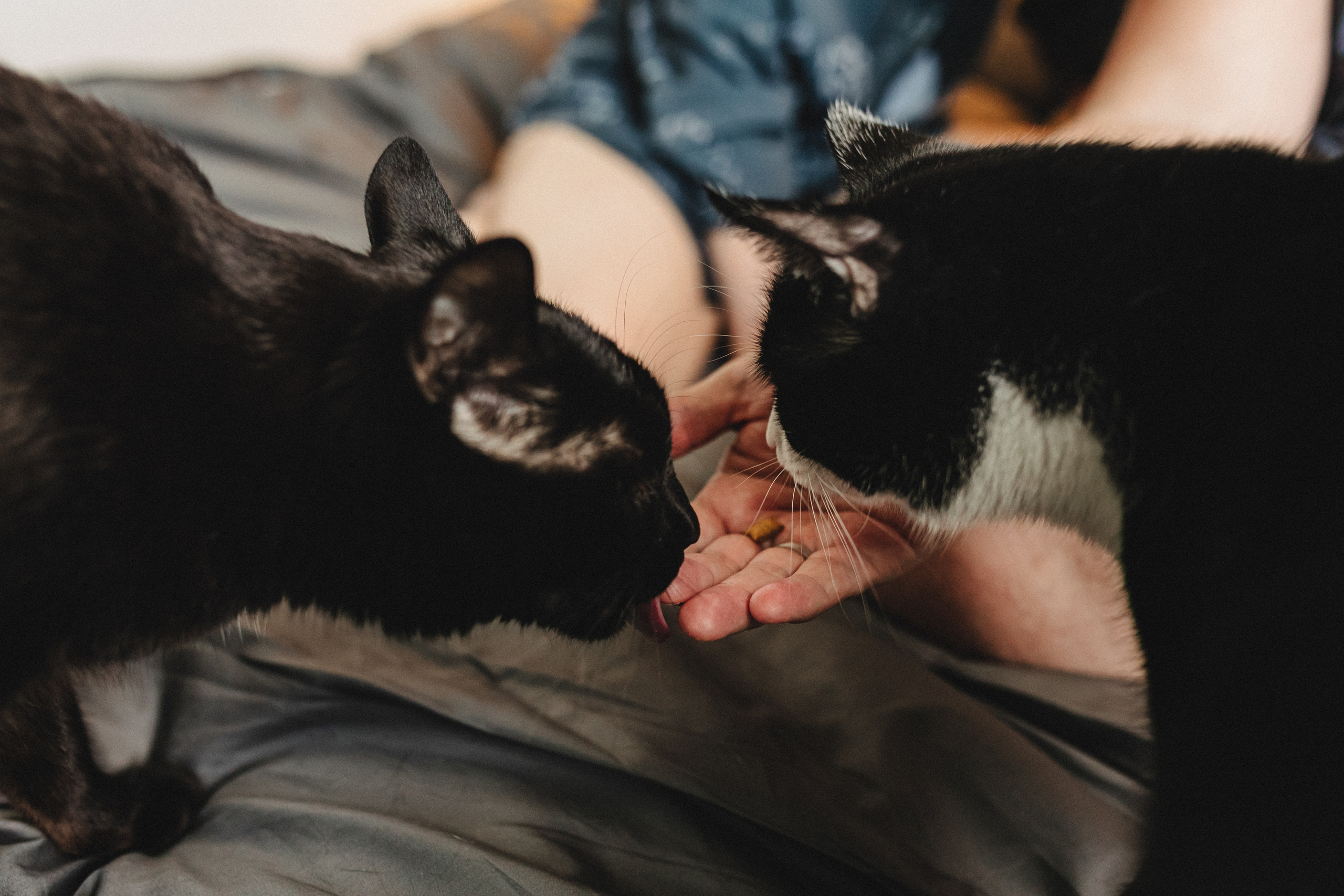 Свадьба Жени и Паши. С родными. Свадебный и семейный фотограф Женя Добрянская в Нижнем Новгороде