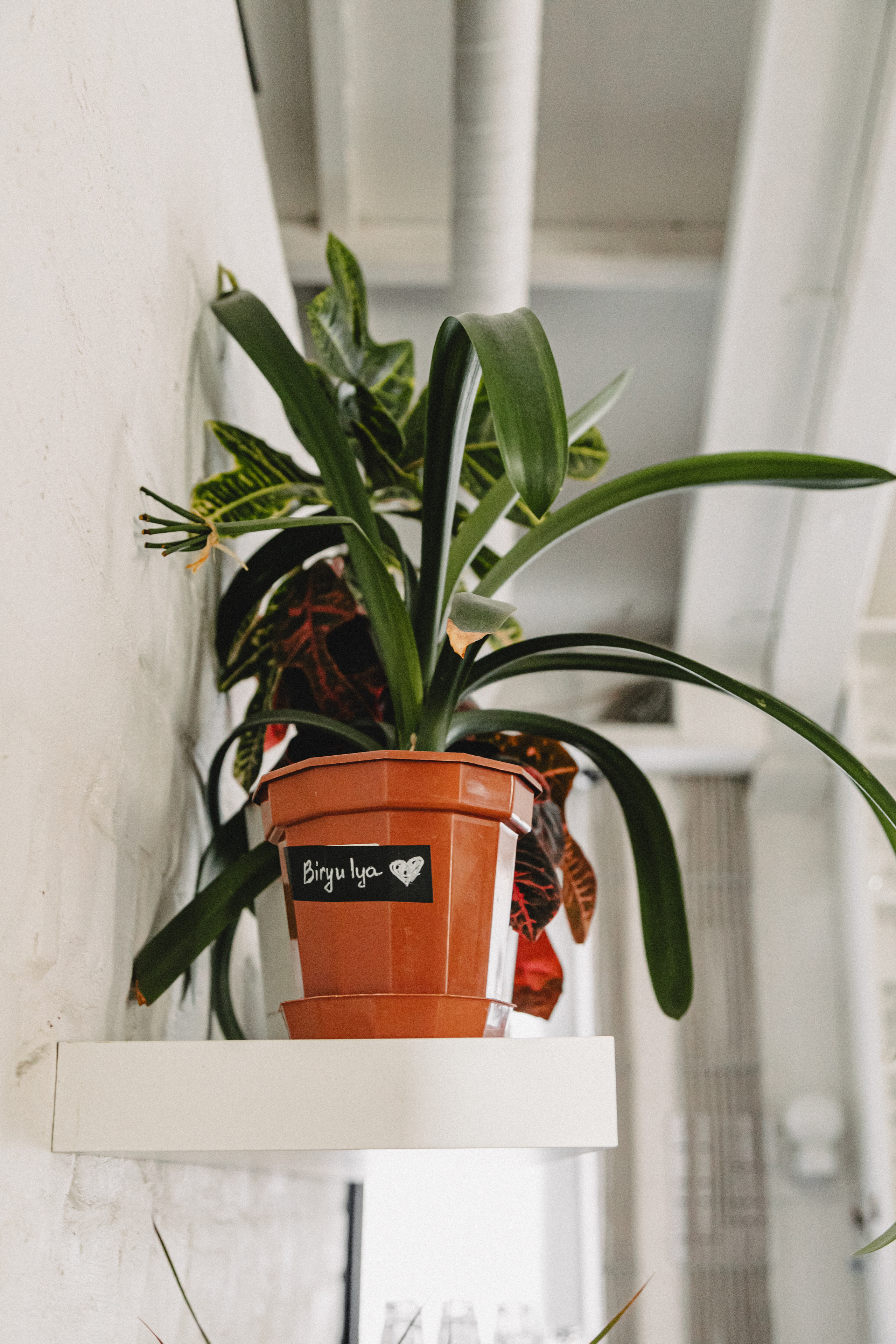 Свадьба Жени и Паши. С друзьями. Свадебный и семейный фотограф Женя Добрянская в Нижнем Новгороде