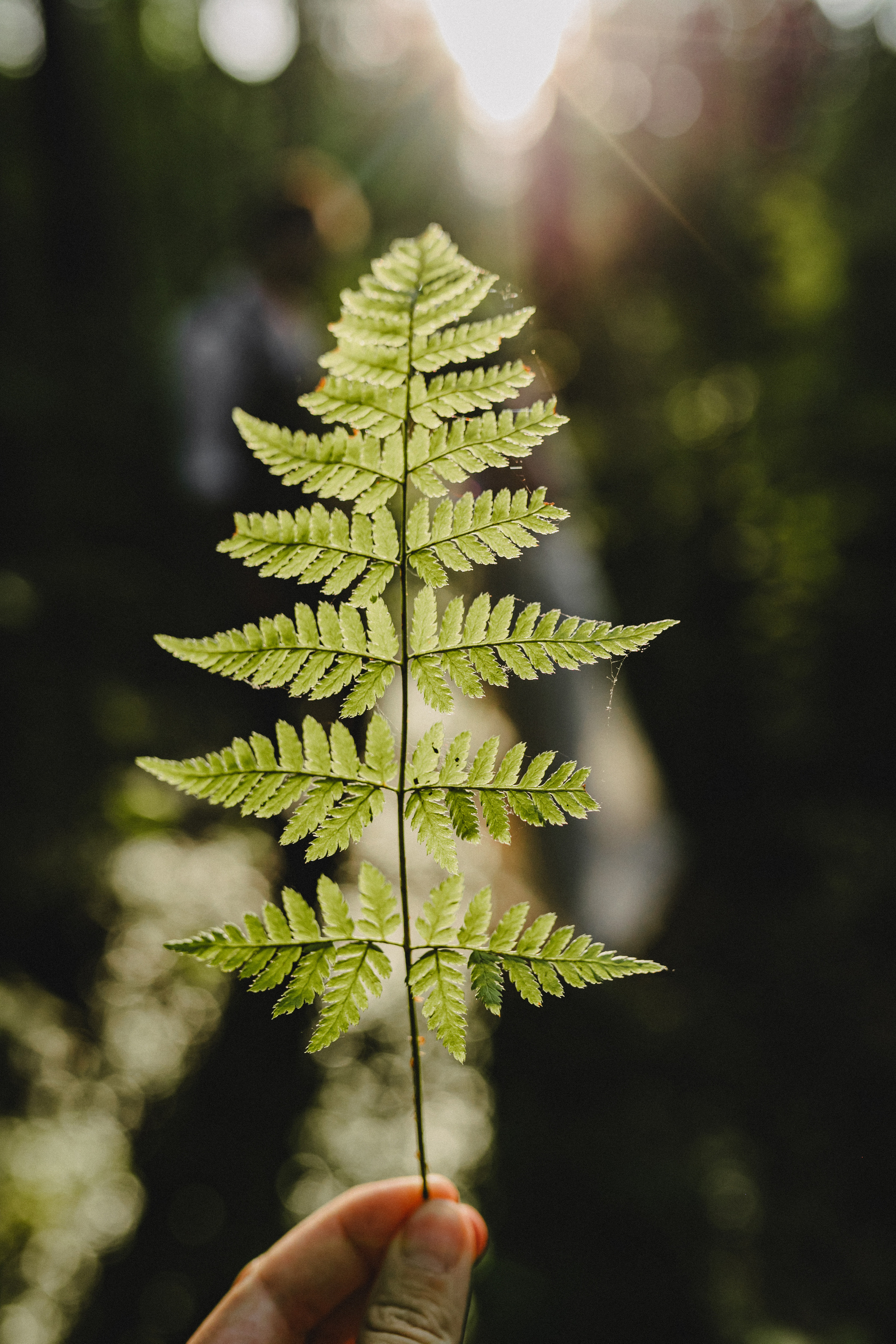 Свадьба Карины и Андрея. Свадебный и семейный фотограф Женя Добрянская в Нижнем Новгороде