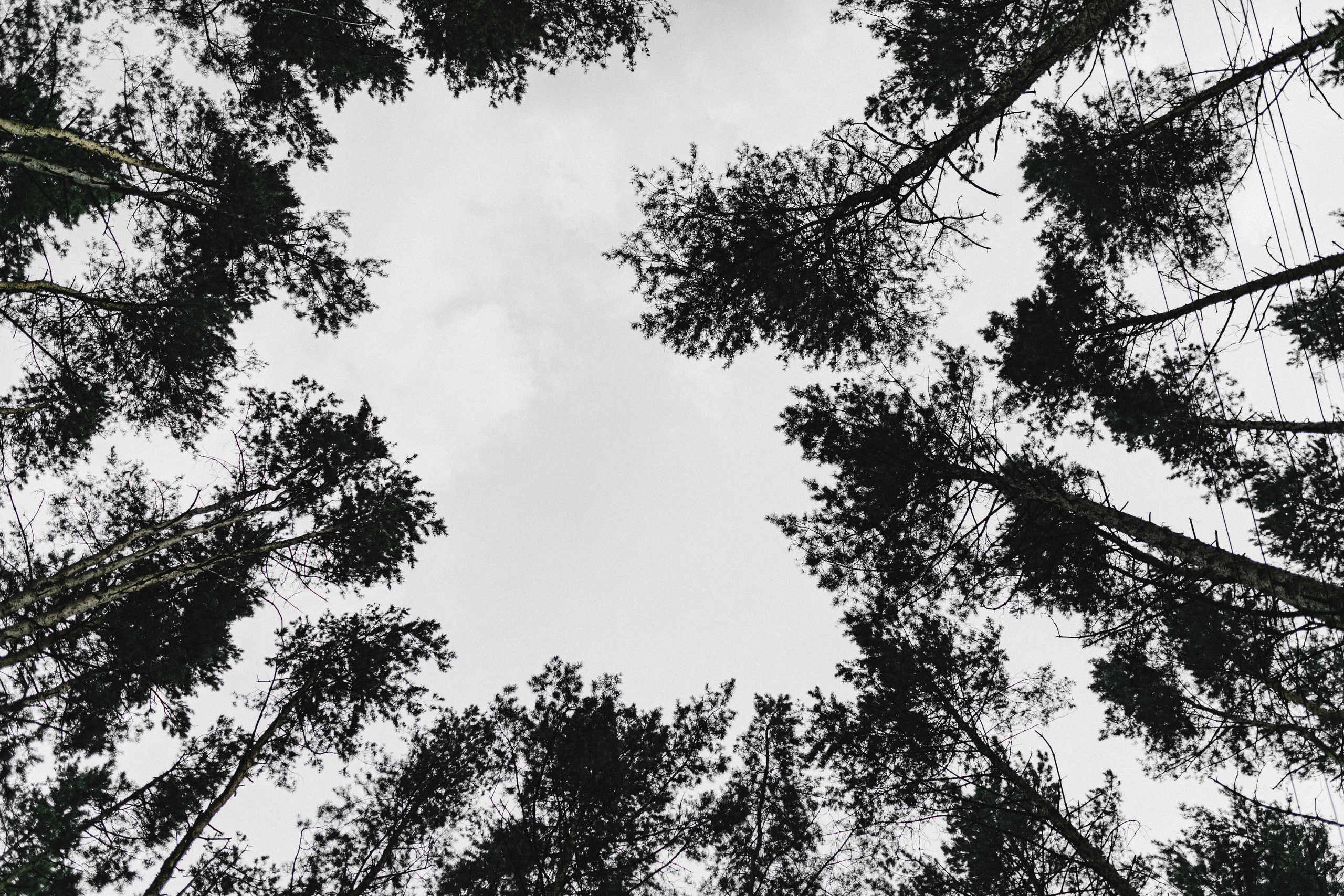 Свадьба Карины и Андрея. Свадебный и семейный фотограф Женя Добрянская в Нижнем Новгороде