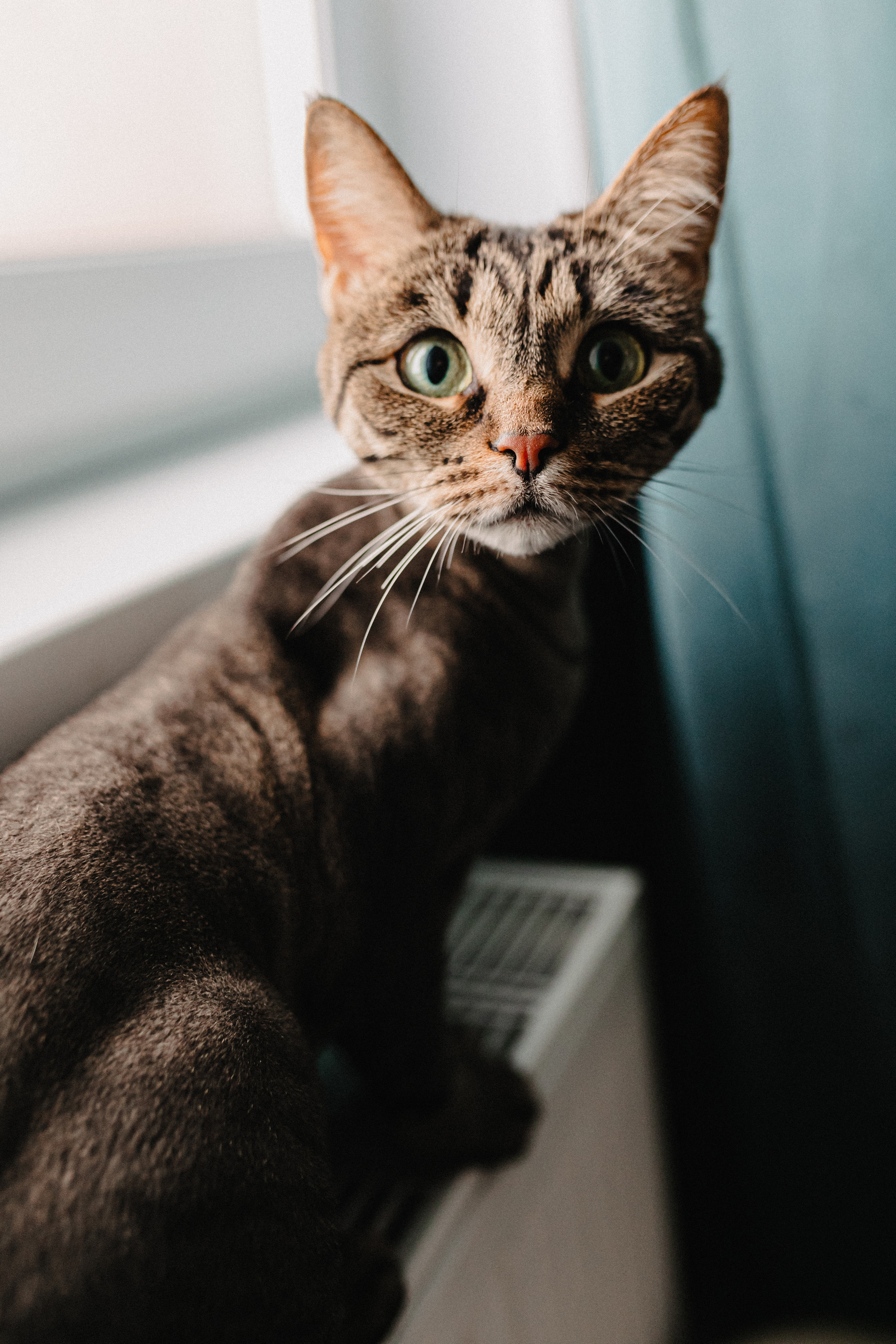 Катя, Саша и Еся. Свадебный и семейный фотограф Женя Добрянская в Нижнем Новгороде