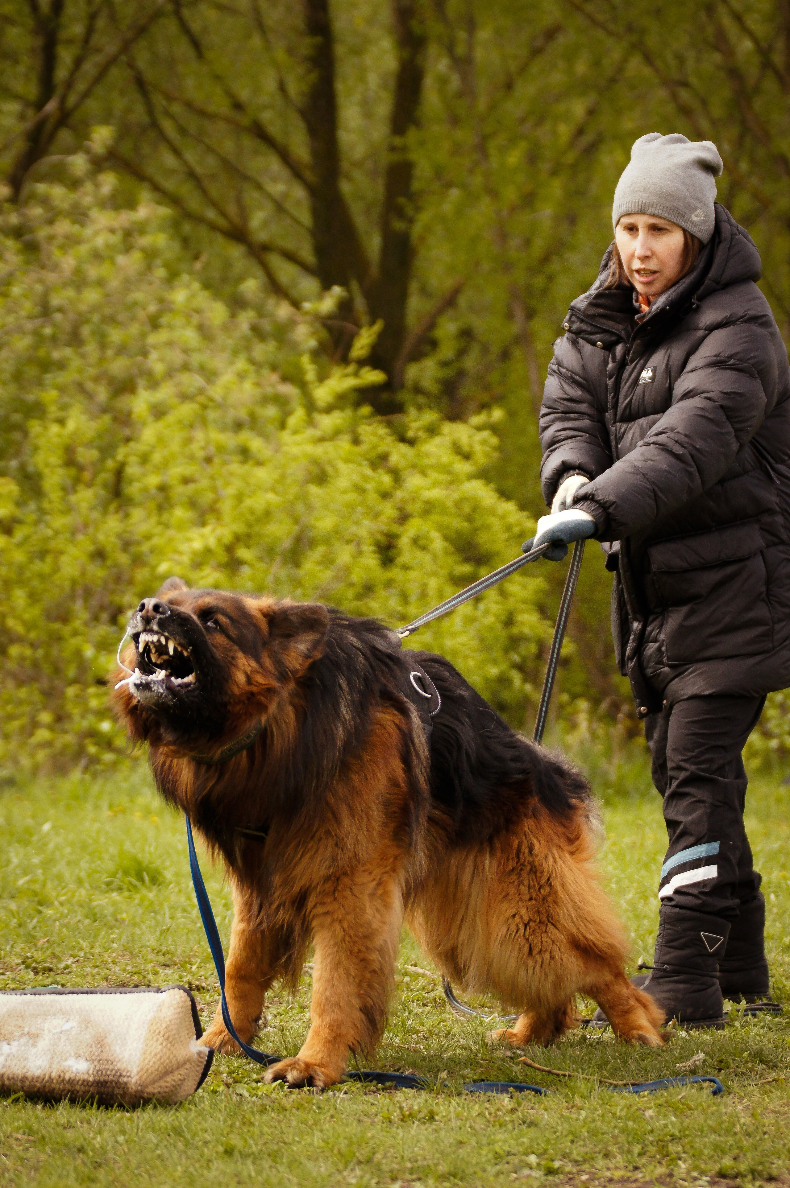 Репортажная съемка. Фотограф-анималист Нижний Новгород