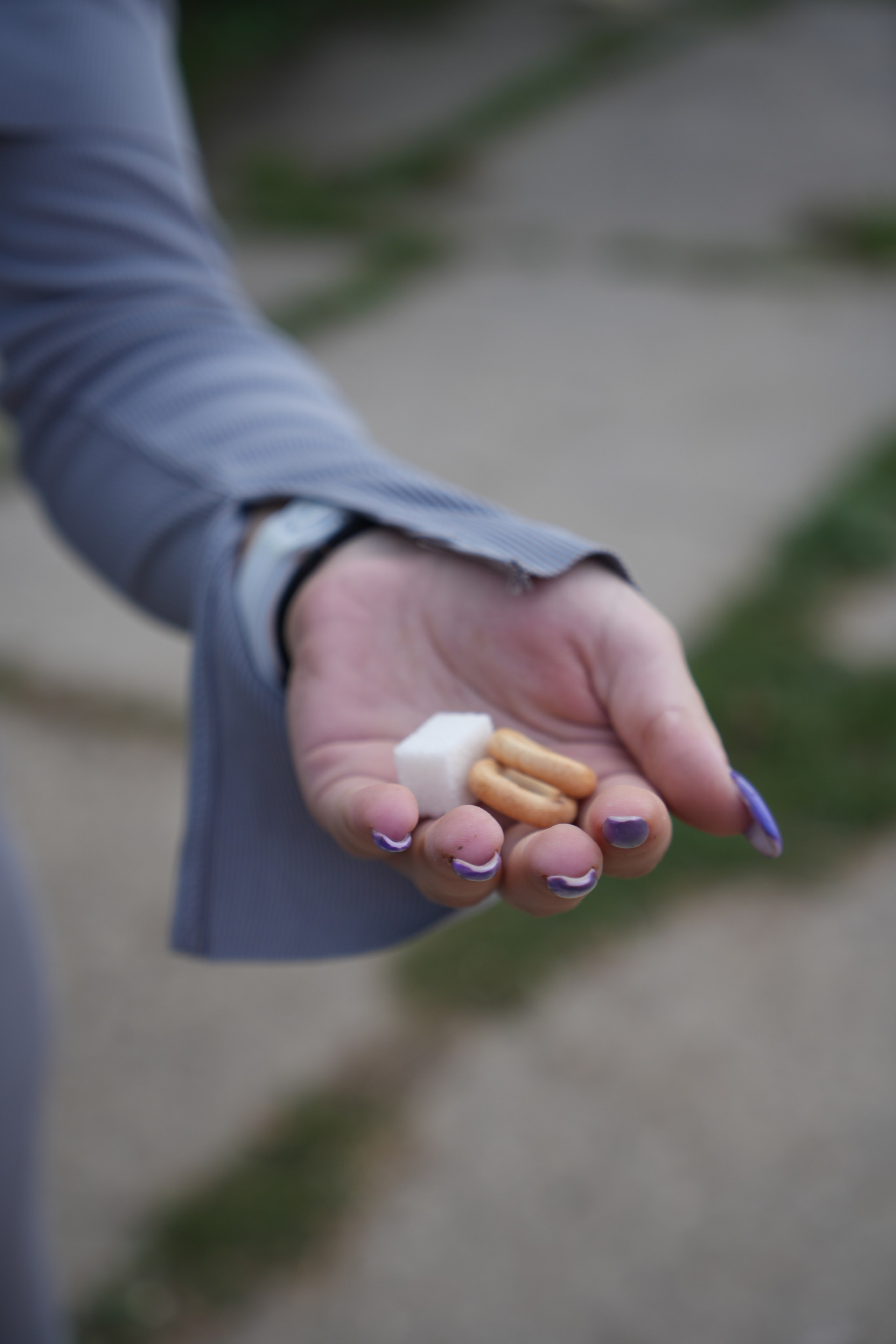 Фотосессия с лошадью. Видеограф и Фотограф в Москве