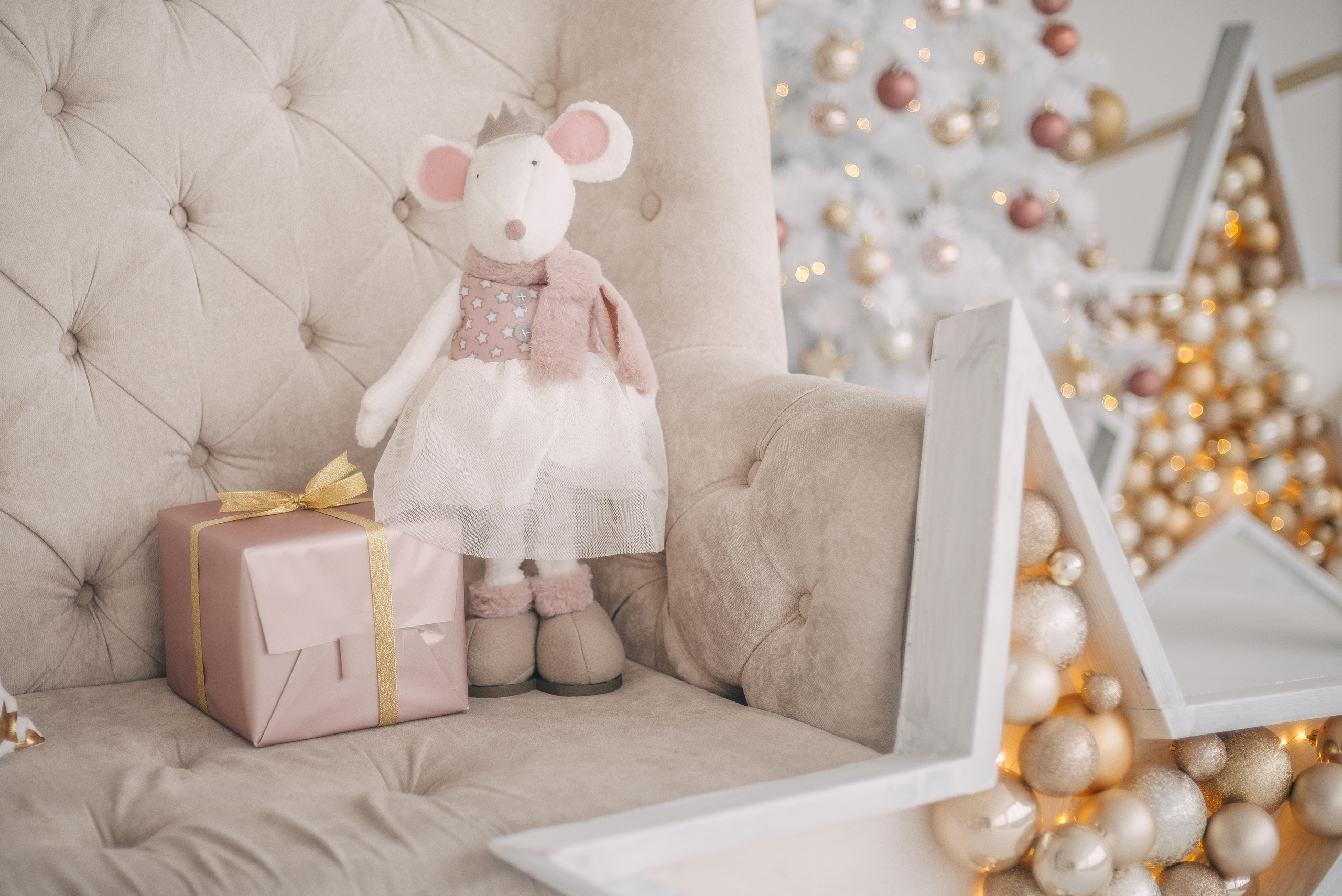 РО-РО НГ2020. Фотограф Ижевск Филипп Усков