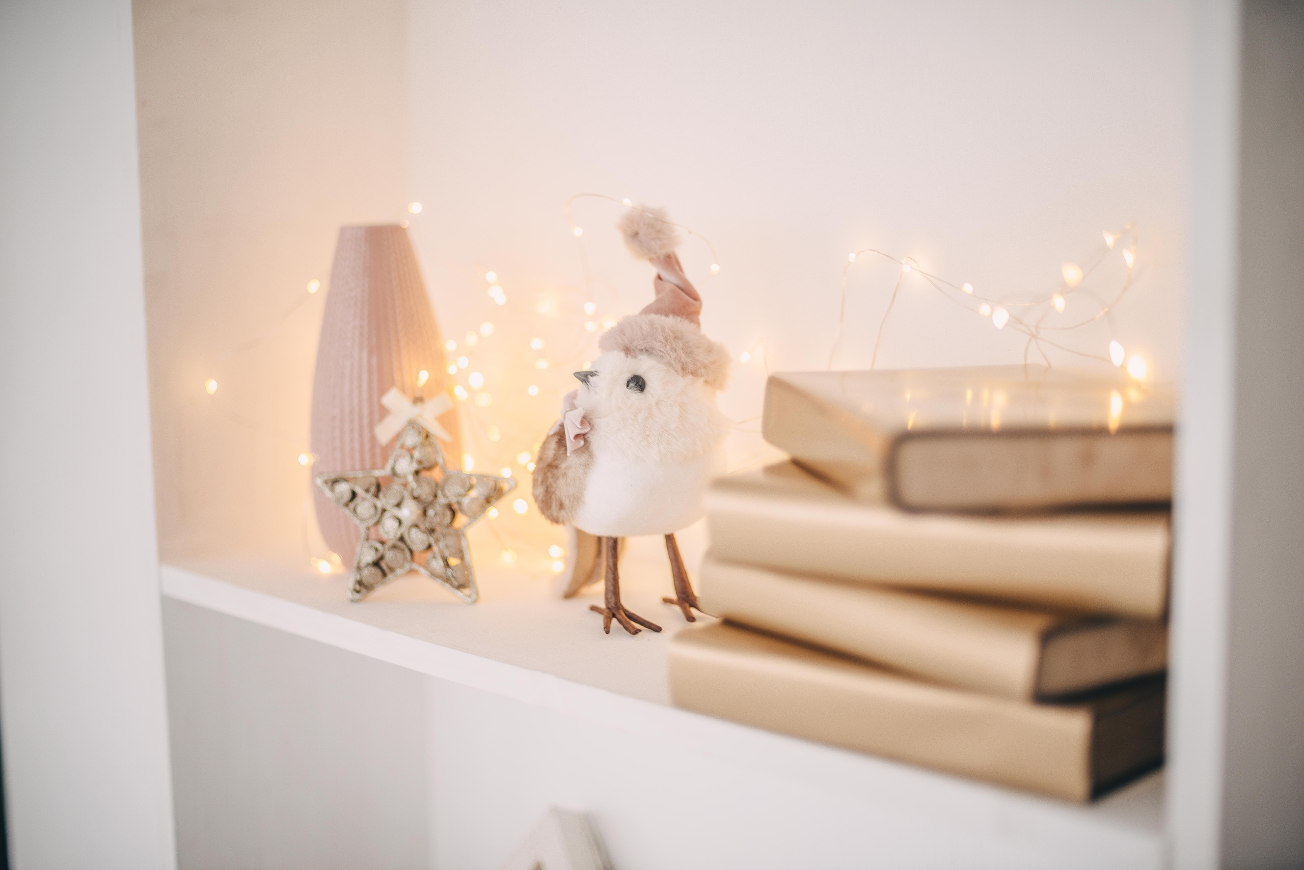 РО-РО НГ2020. Фотограф Ижевск Филипп Усков