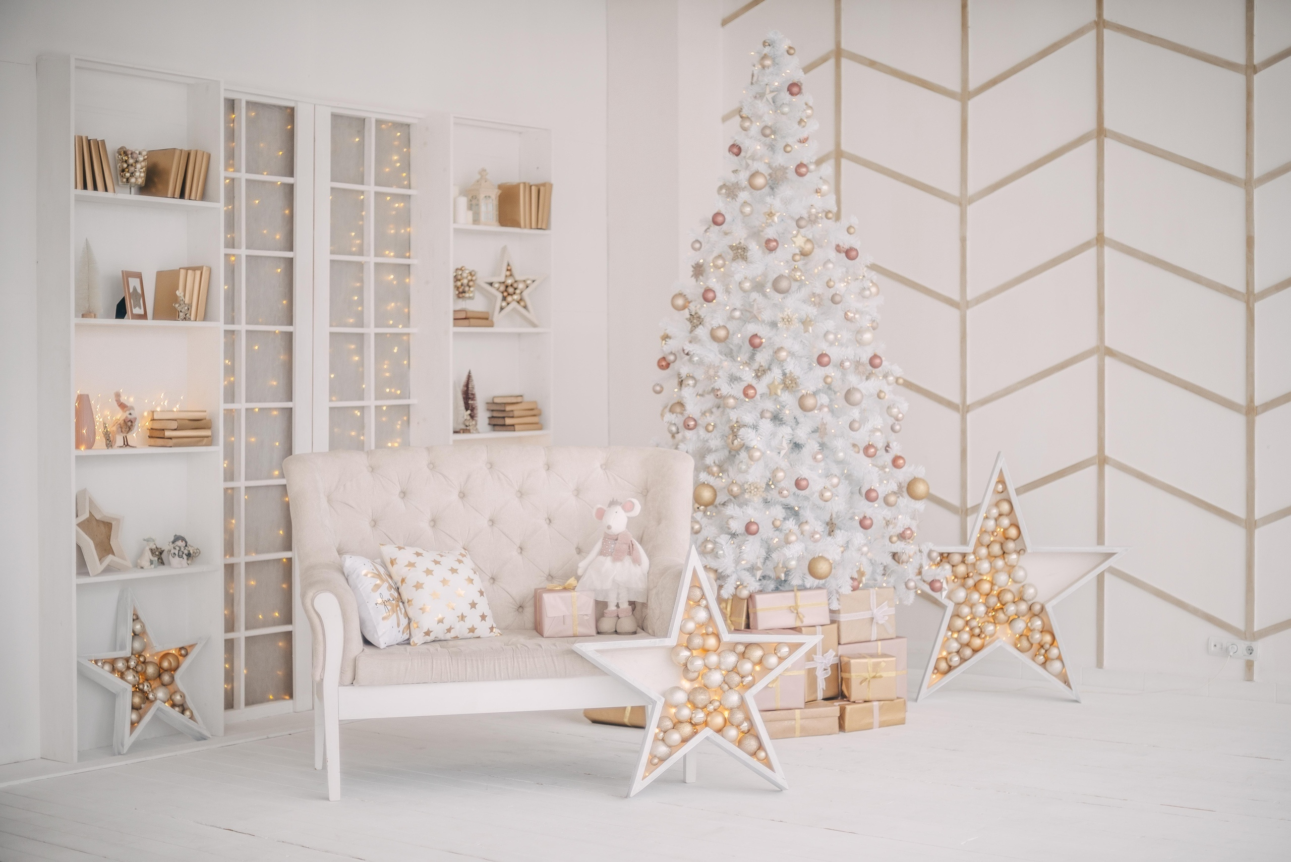 РО-РО НГ2020. Фотограф Ижевск Филипп Усков