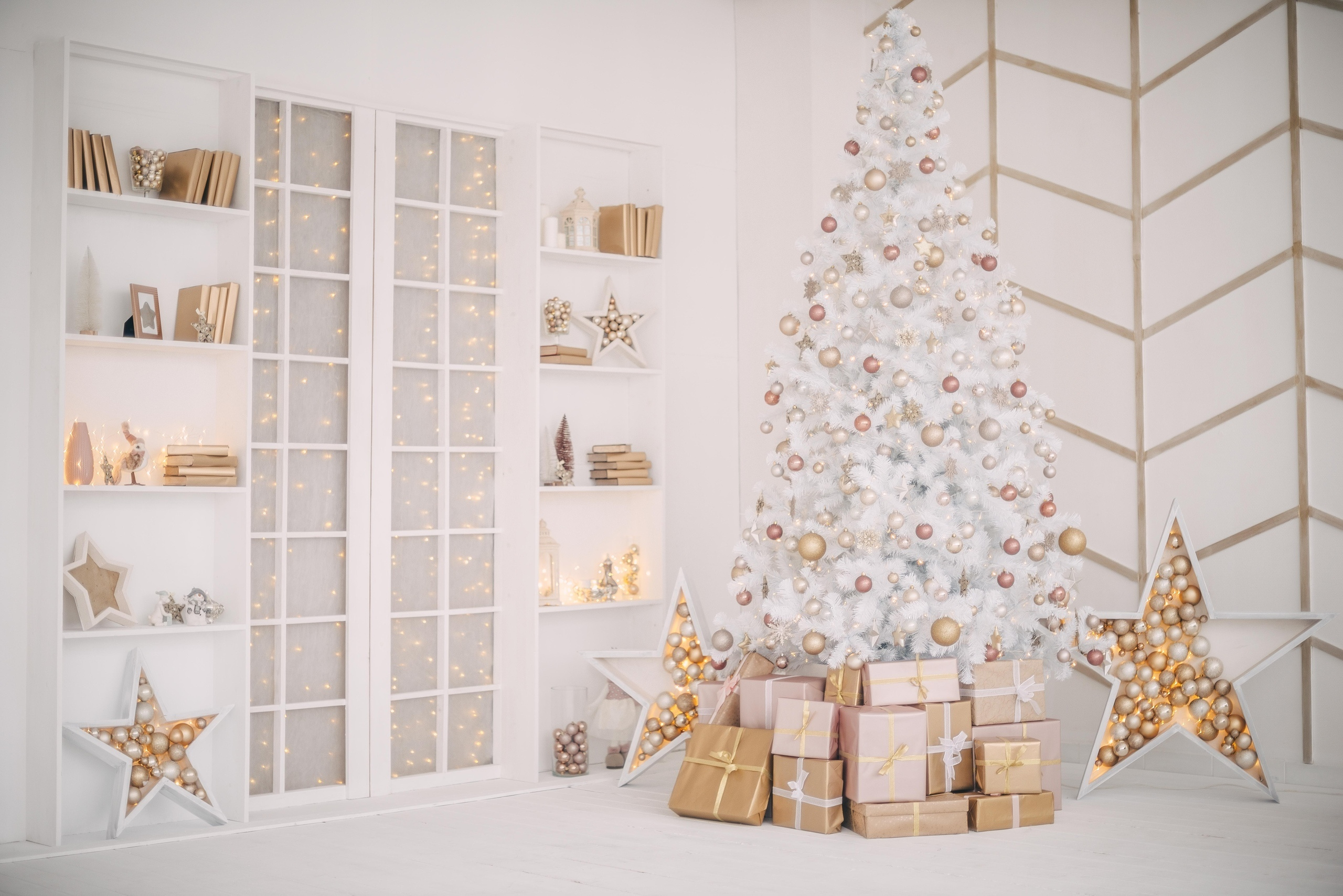 РО-РО НГ2020. Фотограф Ижевск Филипп Усков