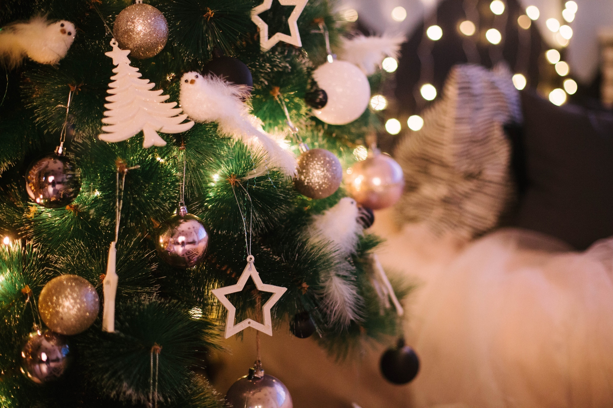 Молоко. Фотограф Ижевск Филипп Усков