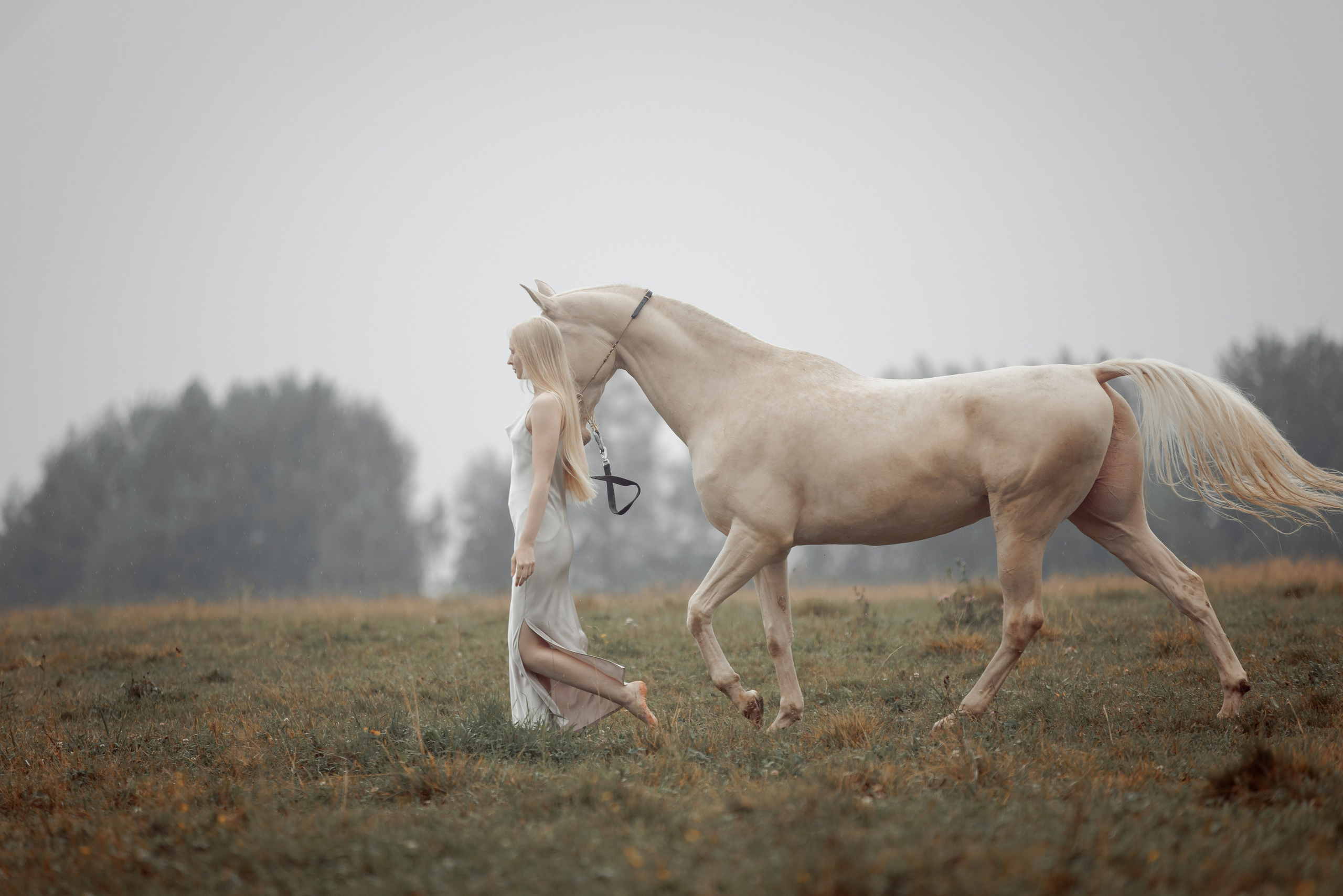 Конная съёмка. Взрослые. Детская Конная фотография в Москве Юлия Шепелева