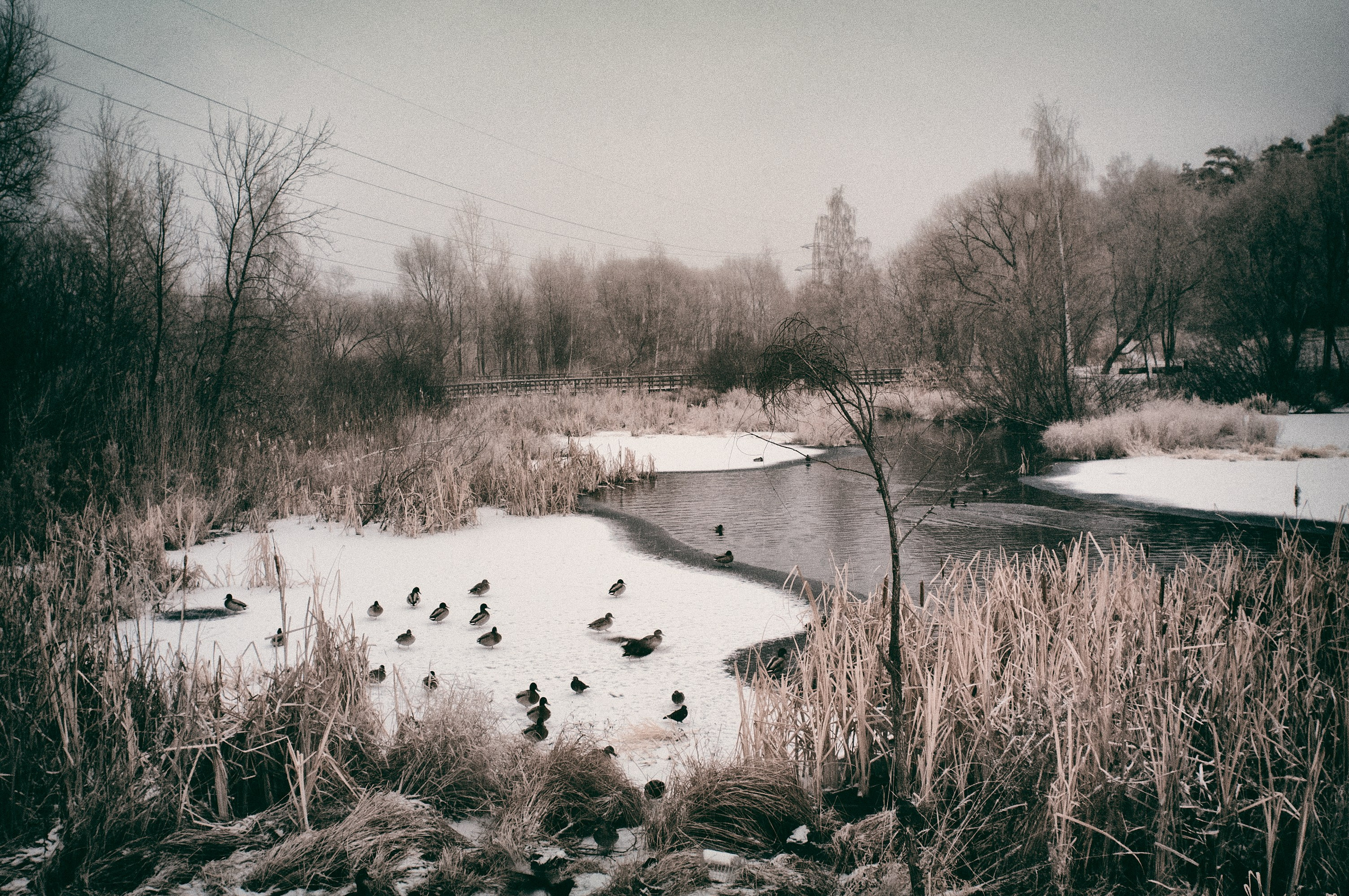 Infrared Photography. Solofilms