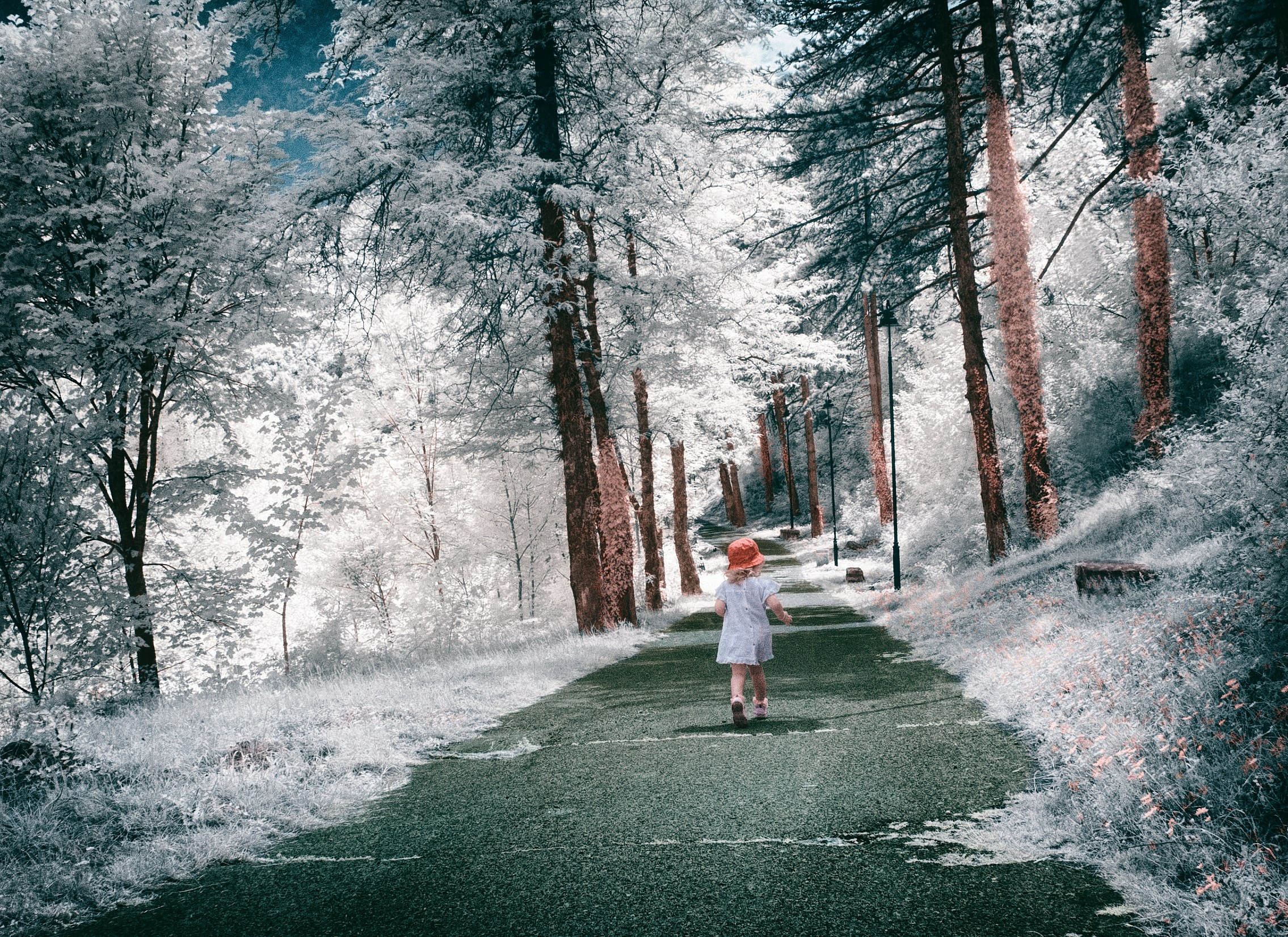 Infrared Photography. Solofilms