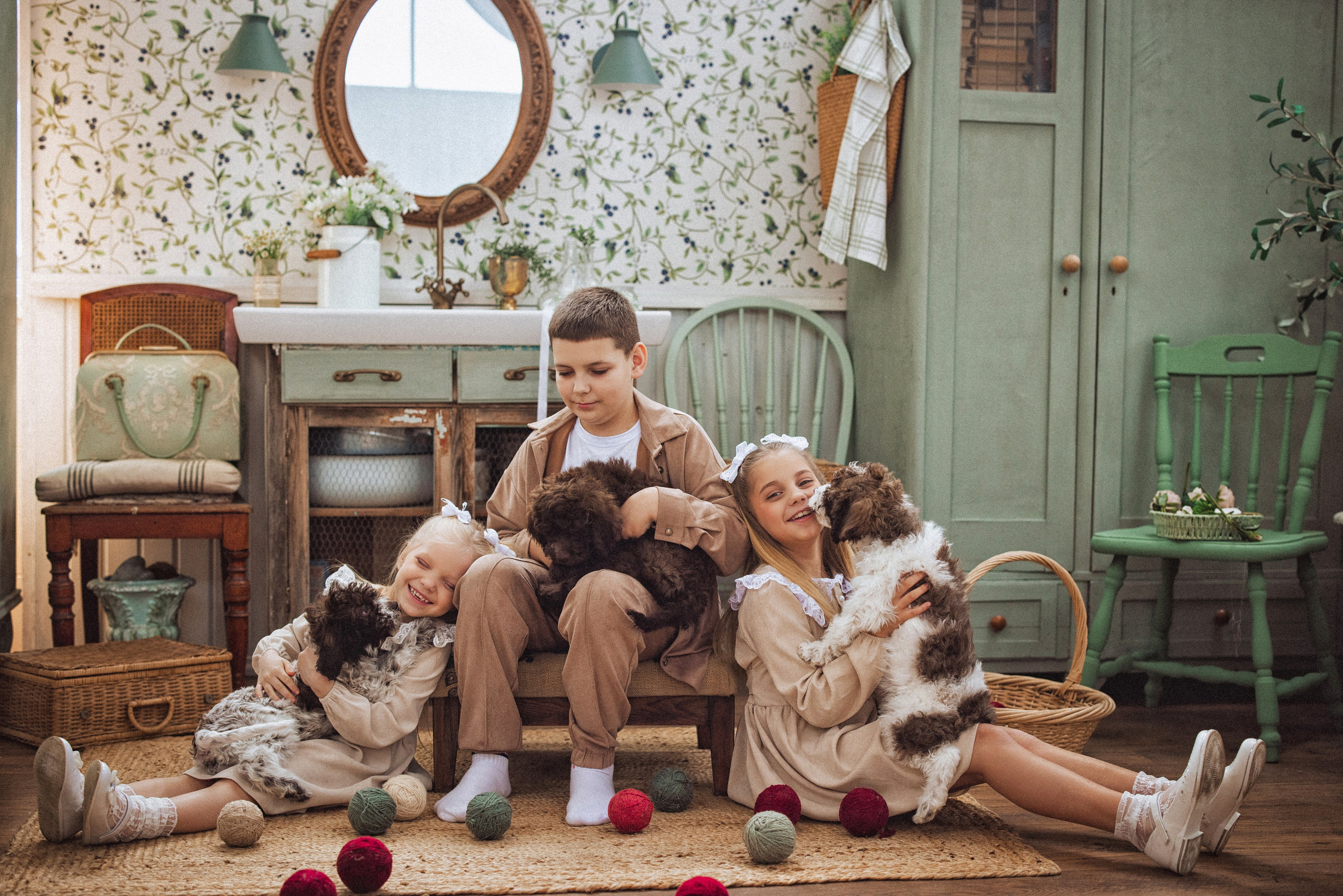 Фотосессия с щенками Лаго́тто-романьо́ло, в Винтажной фотостудии город Краснодар. Семейный и детский фотограф в Краснодаре Анна Трашкова