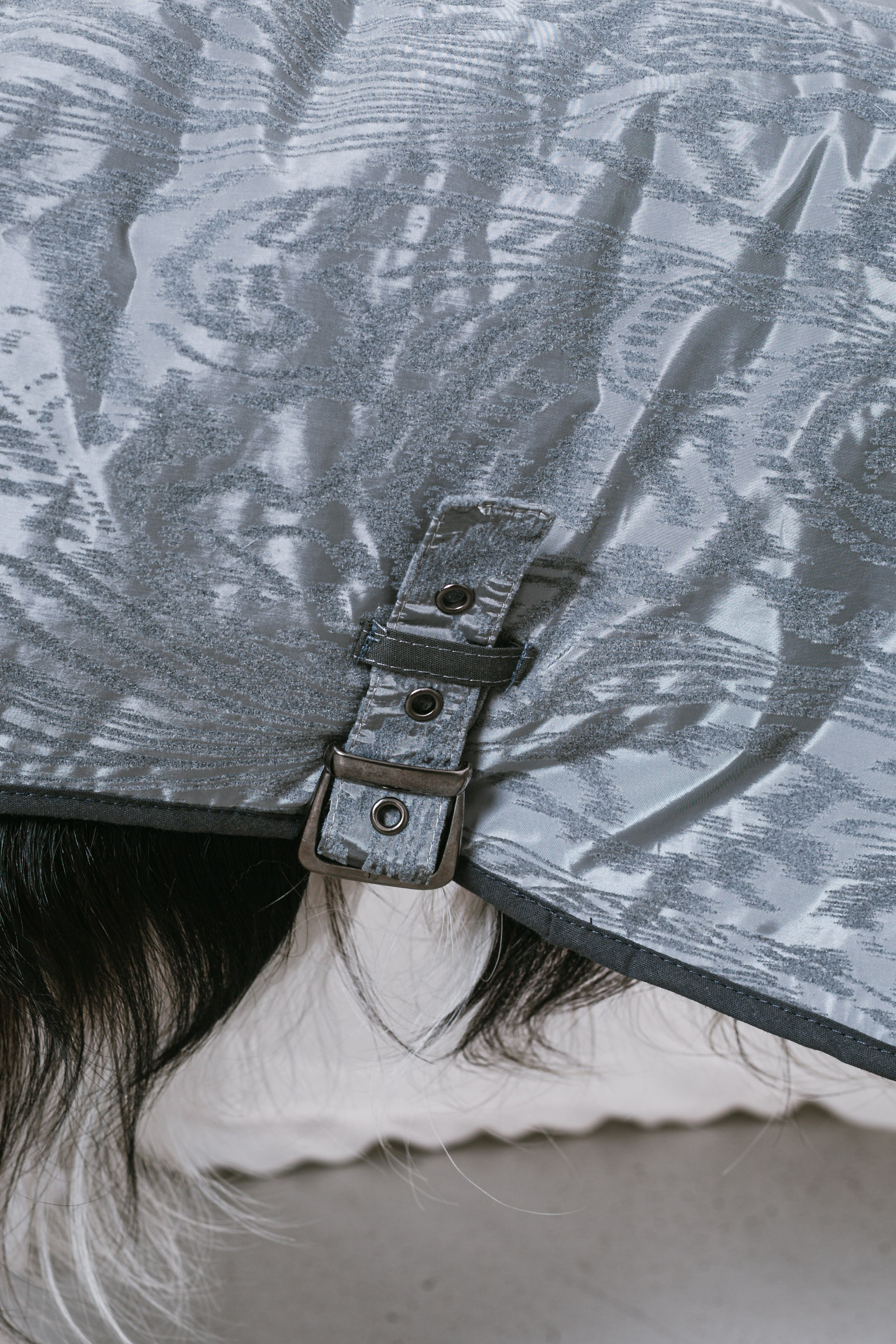 Съемка для бренда TEDDYBOY. Фотограф-анималист Татьяна Степанова