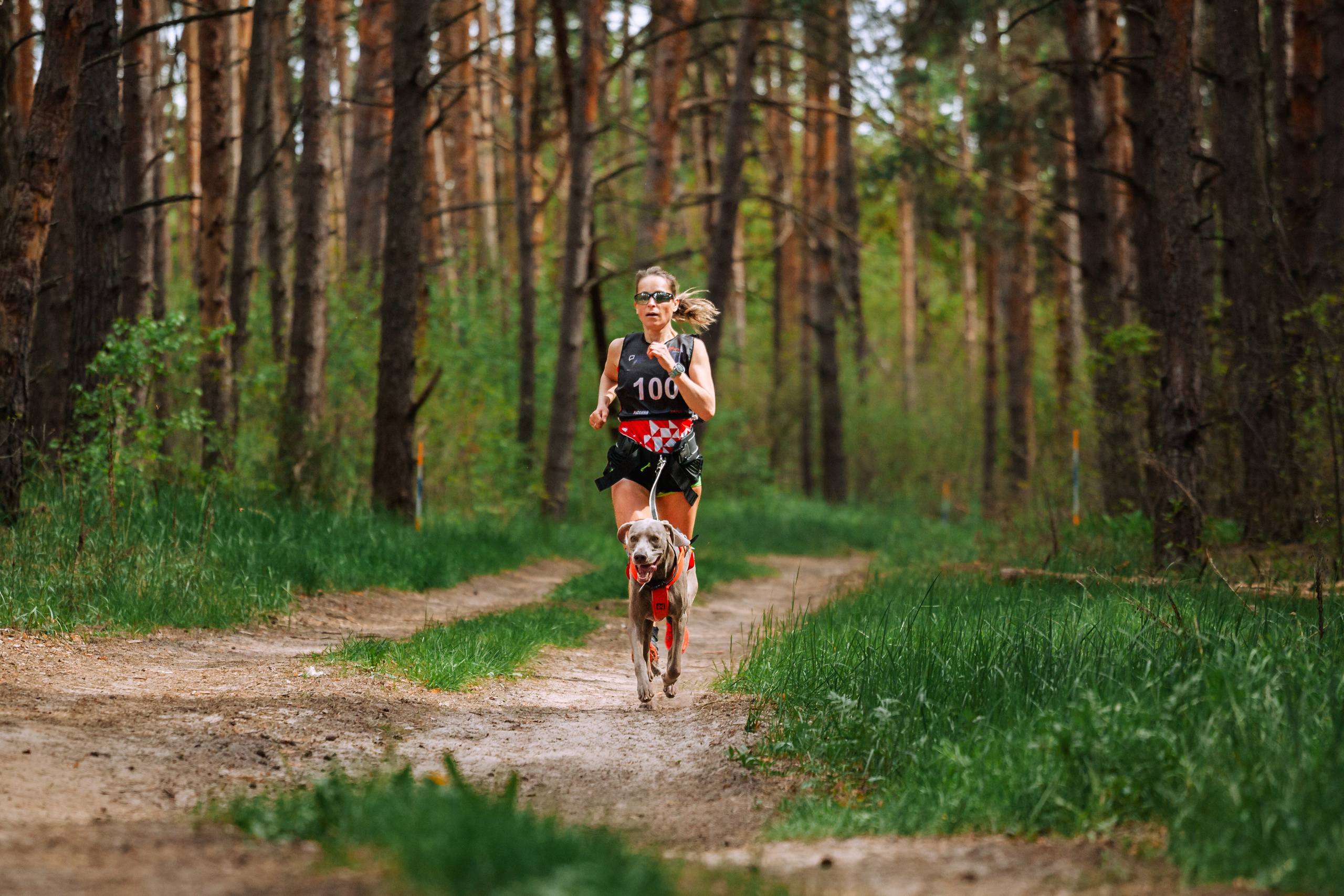 Русский экстрим кросс в Рязанской области 17.05.2025. Фотограф-анималист Татьяна Степанова