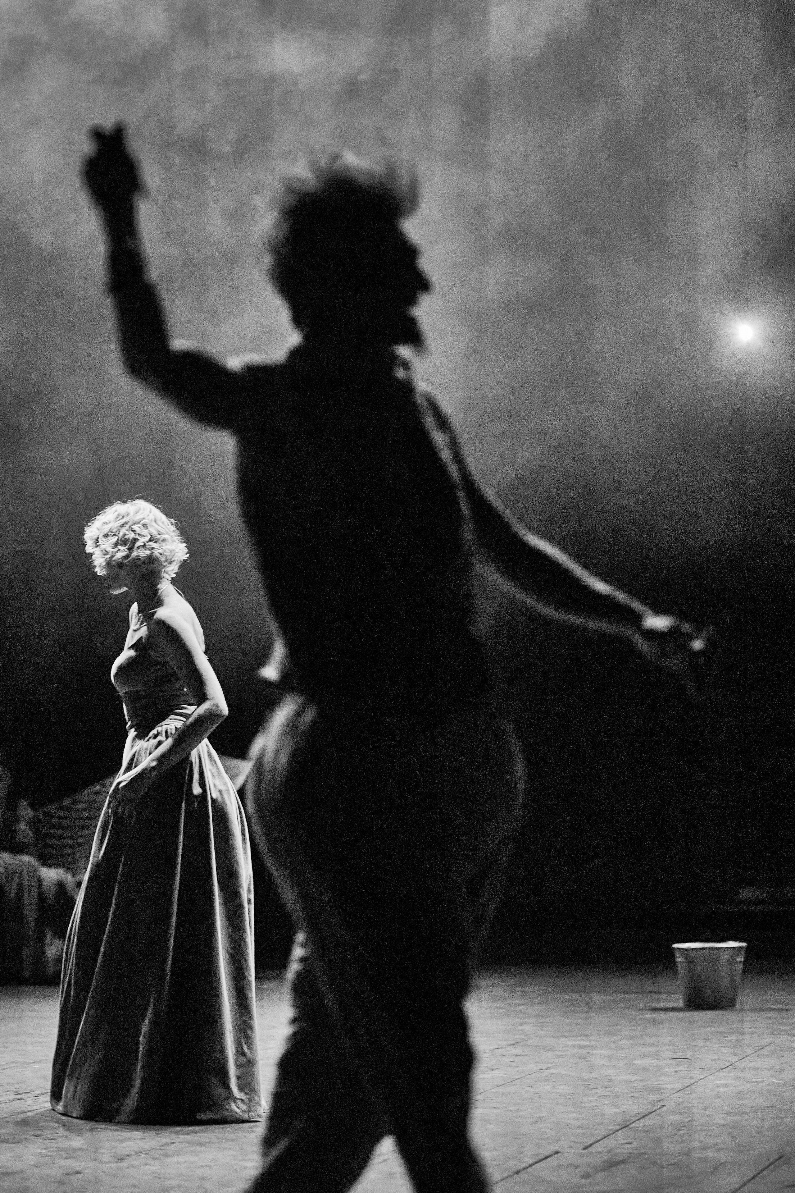 Чайка. Фотограф Юлия Маринина