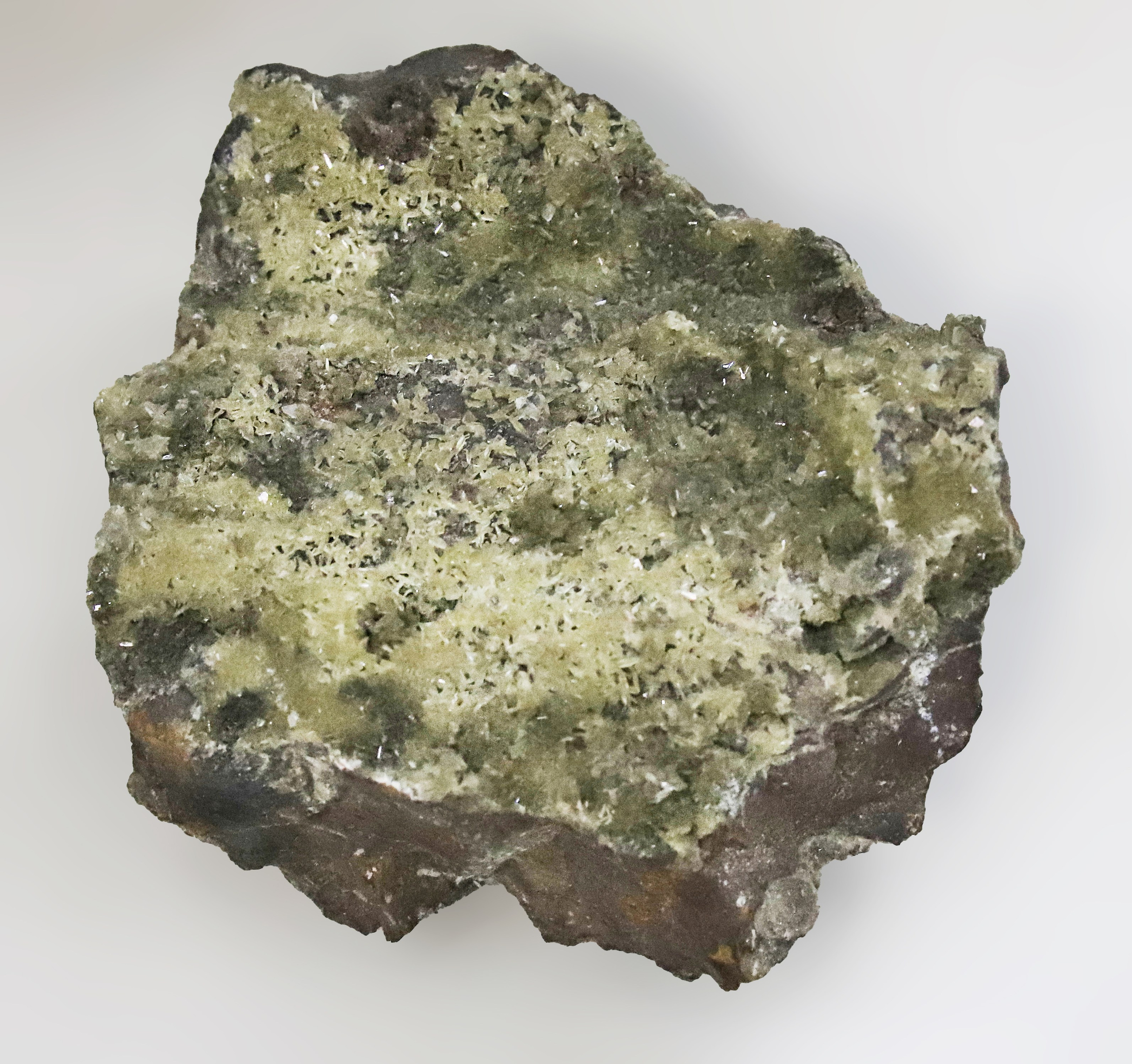 Каменная летопись. Фотограф Юлия Маринина