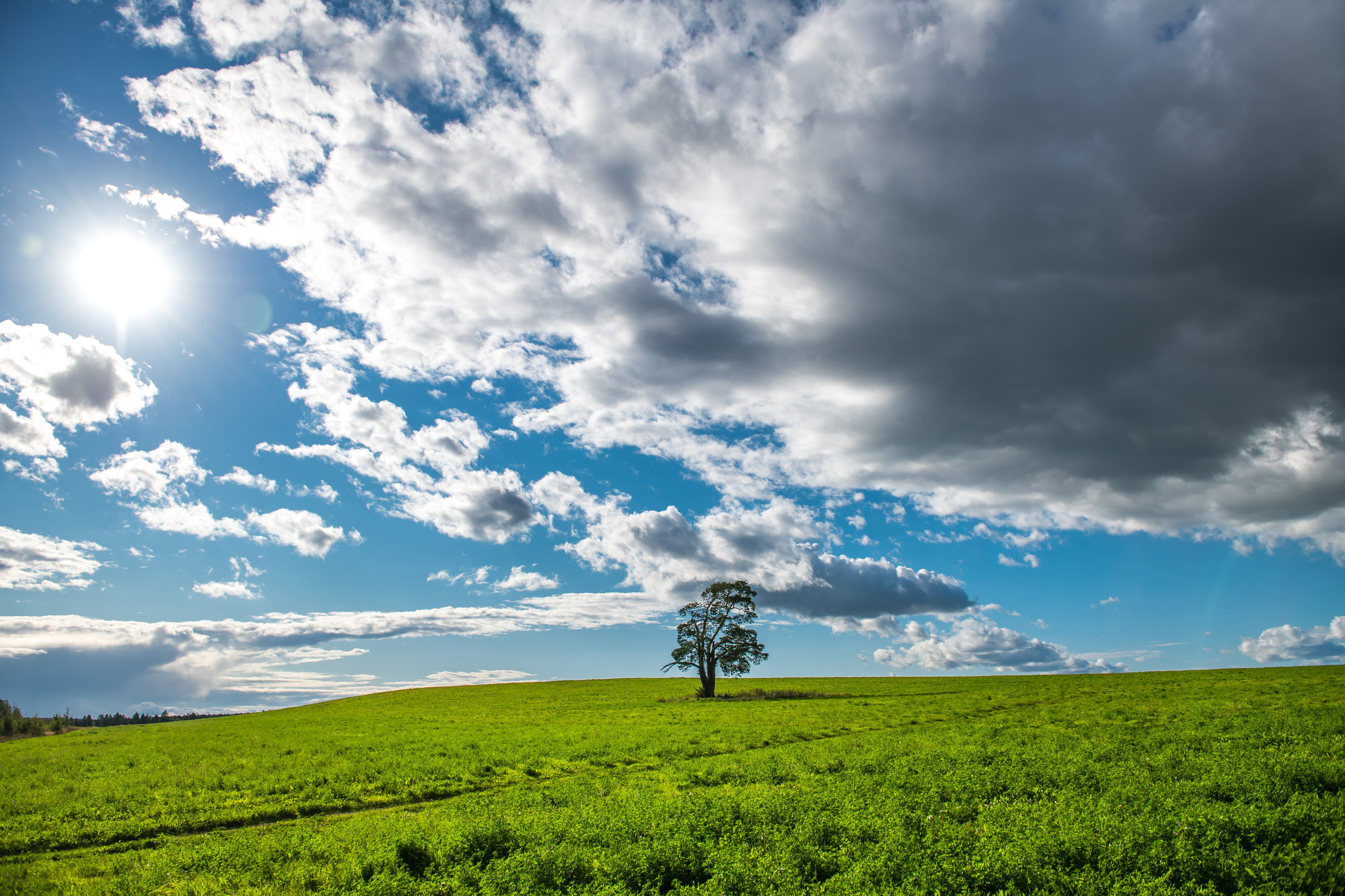 Пейзажи. Репортажный фотограф в Ижевске Константин Ившин