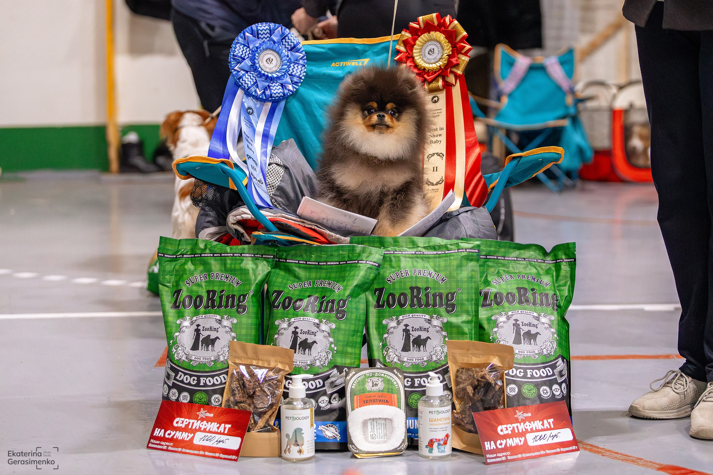 23 ноября 2024, Выставка РКФ, г. Пермь. Htykk_photo