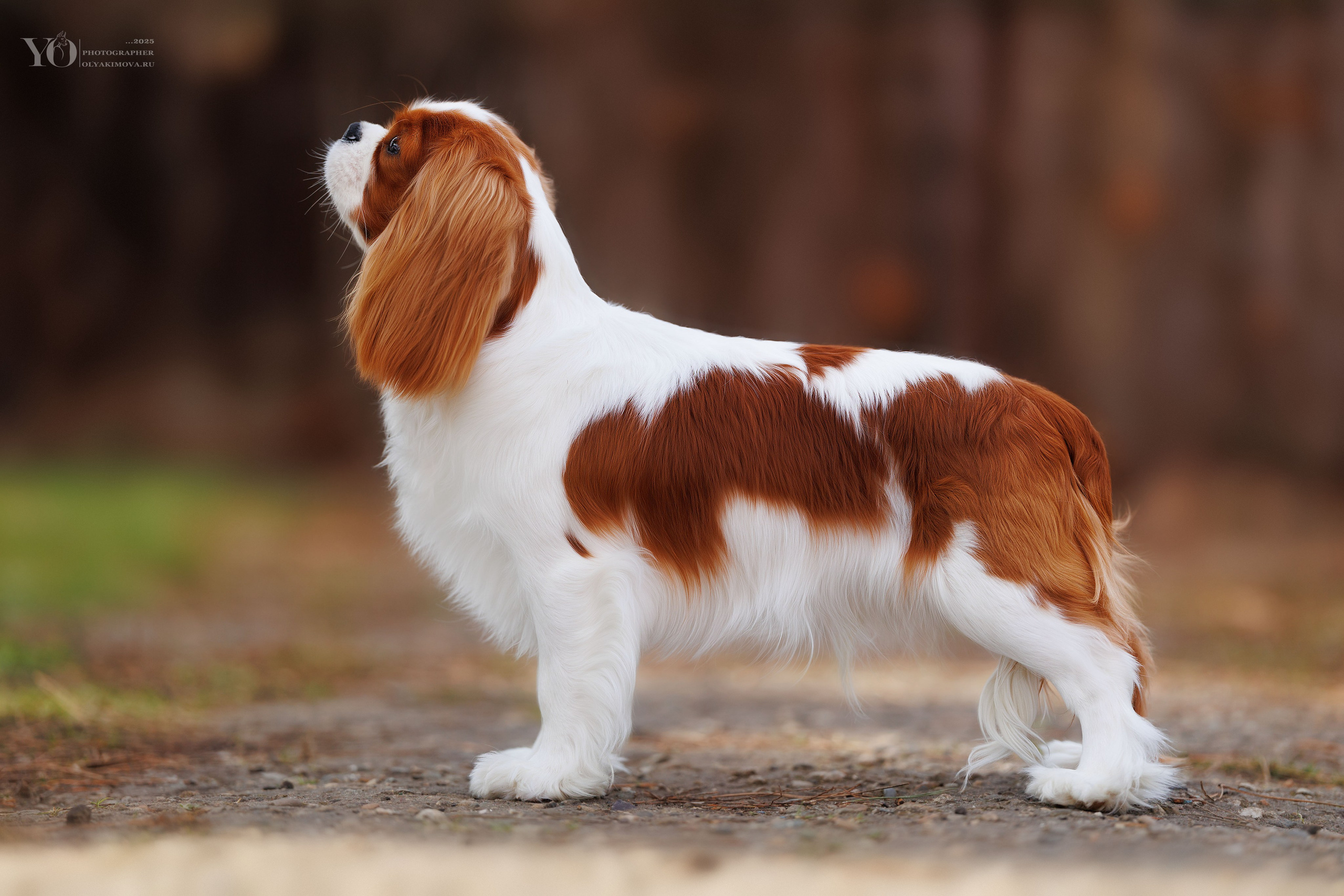 Экстерьер. Фотограф