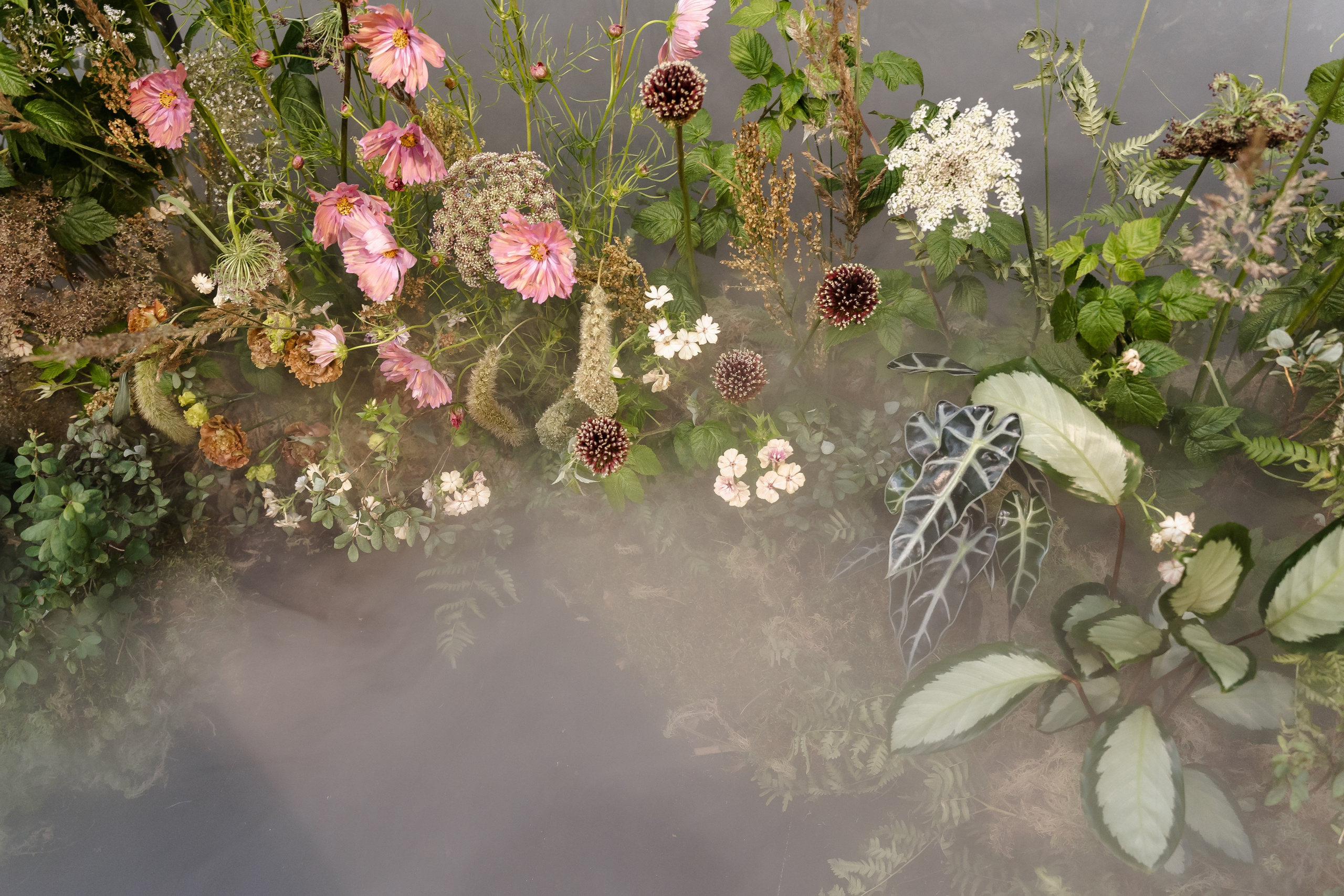 Евгения и Мунир | 24.07.2024 (из анонса). Свадебный фотограф в Москве Яна Деньгина