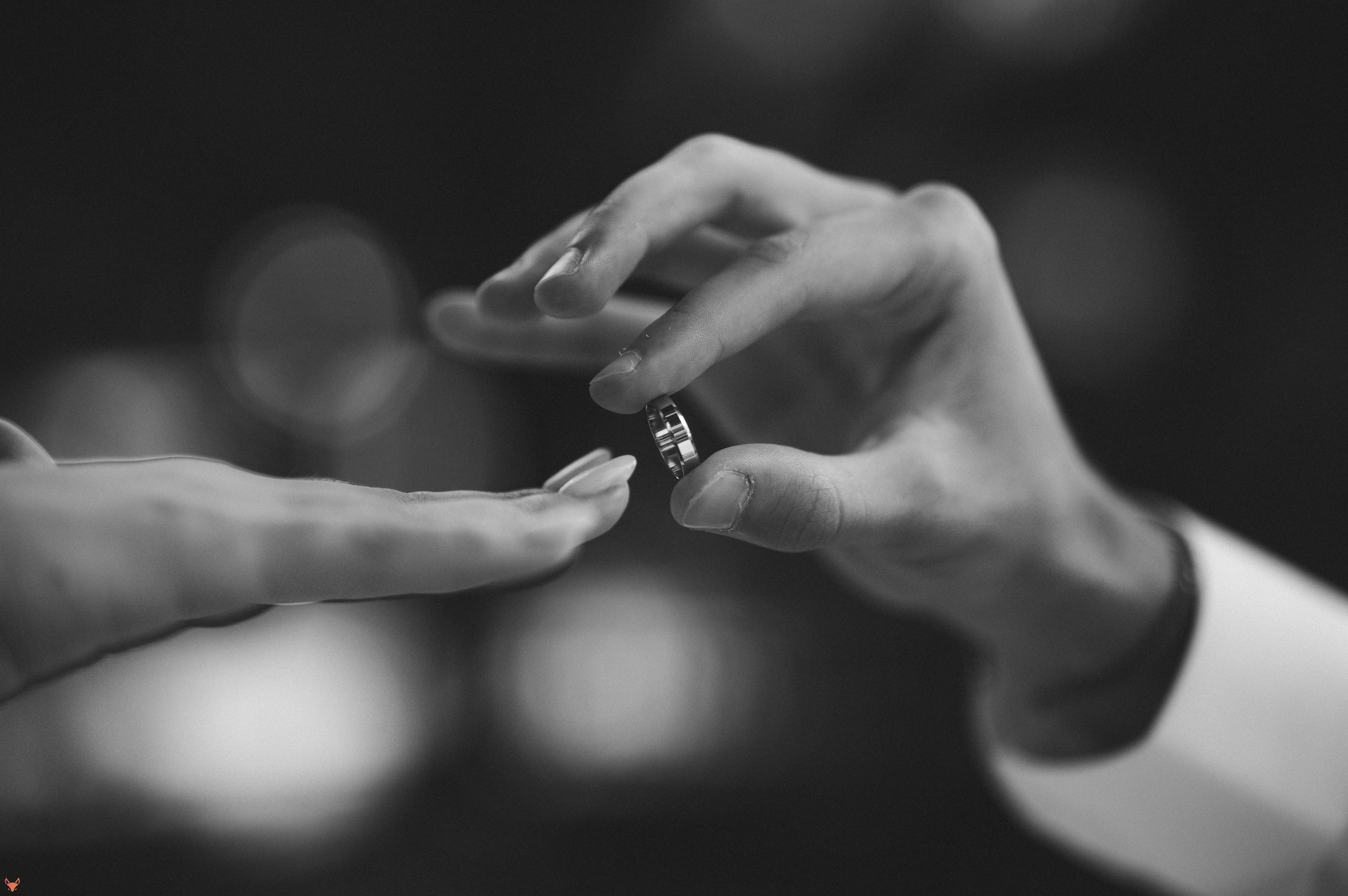 Wedding 02 08 24. Свадебный Фотограф Абакан