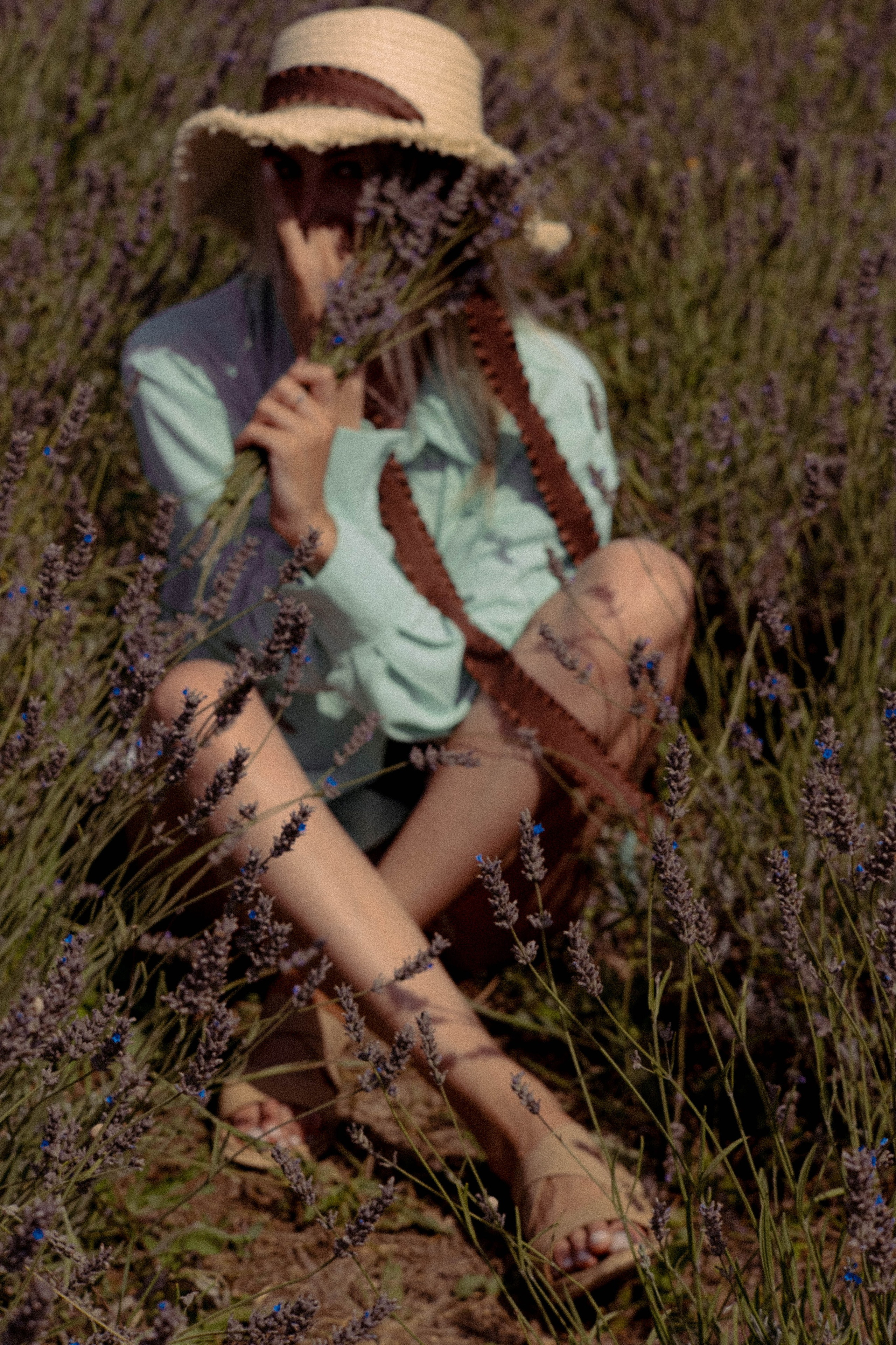 ЛАВАНВОДОВОЕ ПОЛЕ. Профессиональный фотограф, Санкт-Петербург — Виктория Богомолова