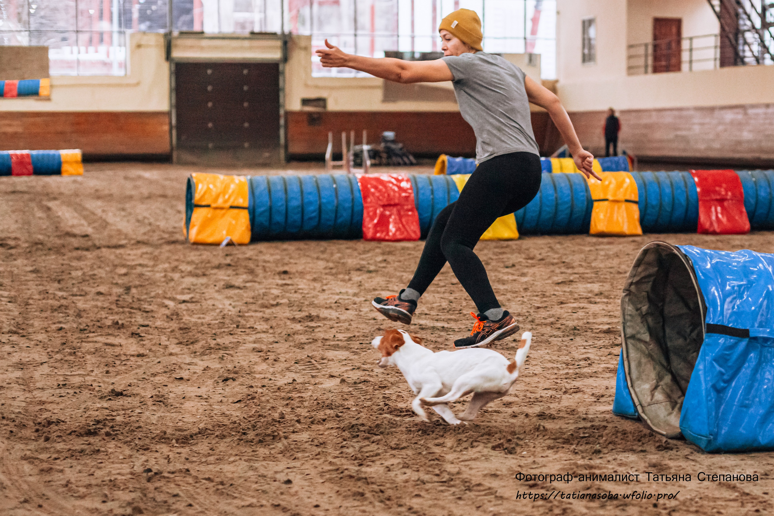 Соревнования по Аджилити 25.02.2024. Фотограф-анималист Татьяна Степанова
