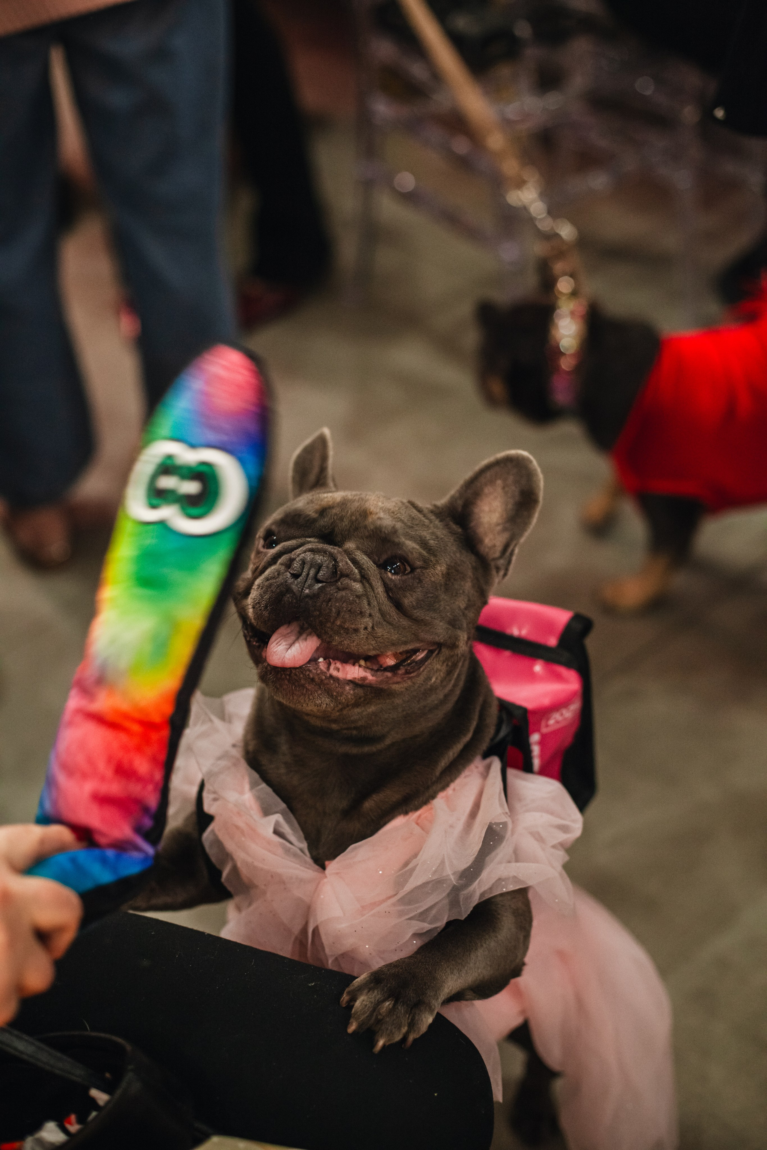 Бульёлка 2024. Фотограф-анималист Татьяна Степанова